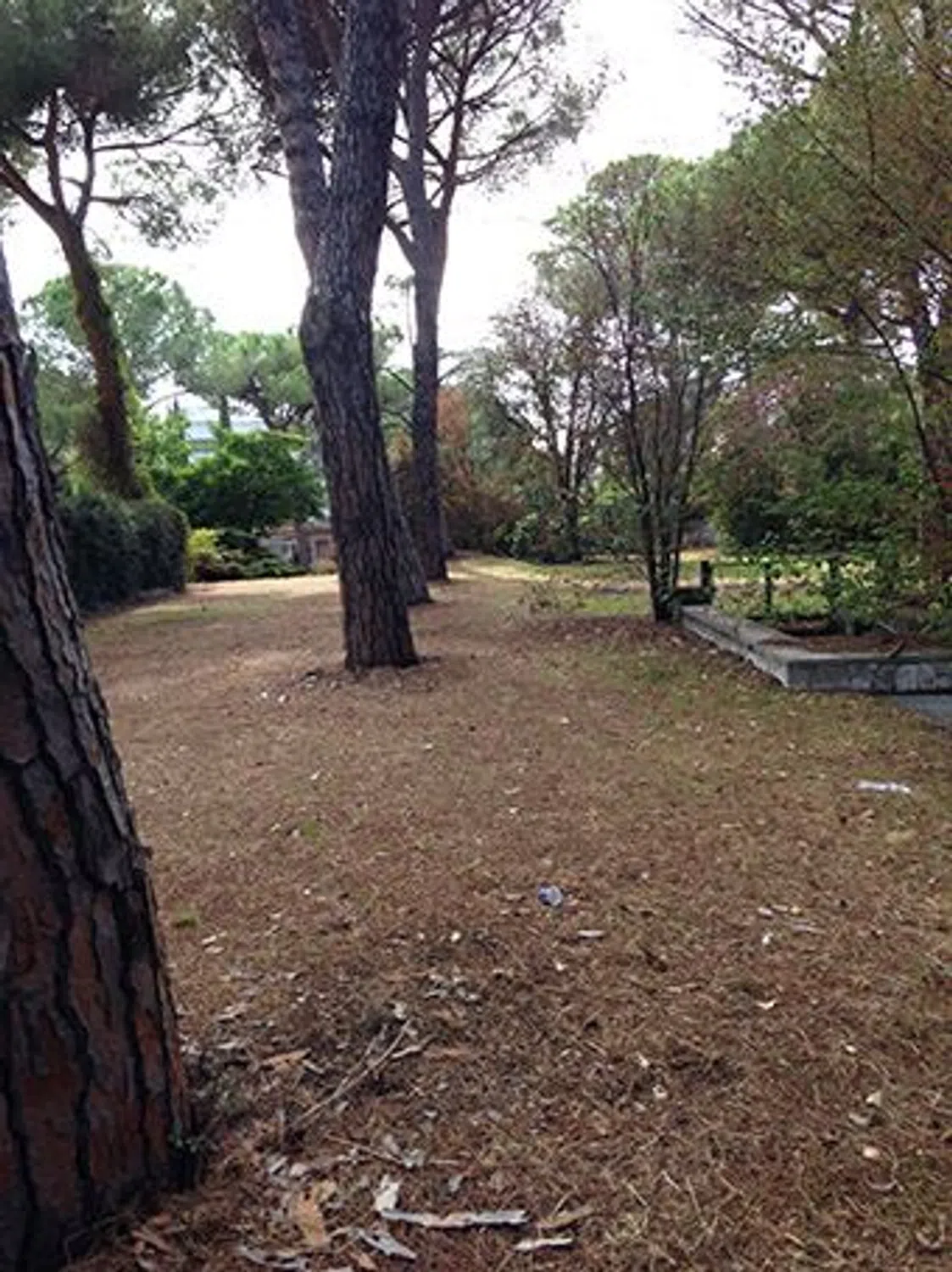 Casa indipendente in via Raffaele Majetti s.n.c. - Photo 16