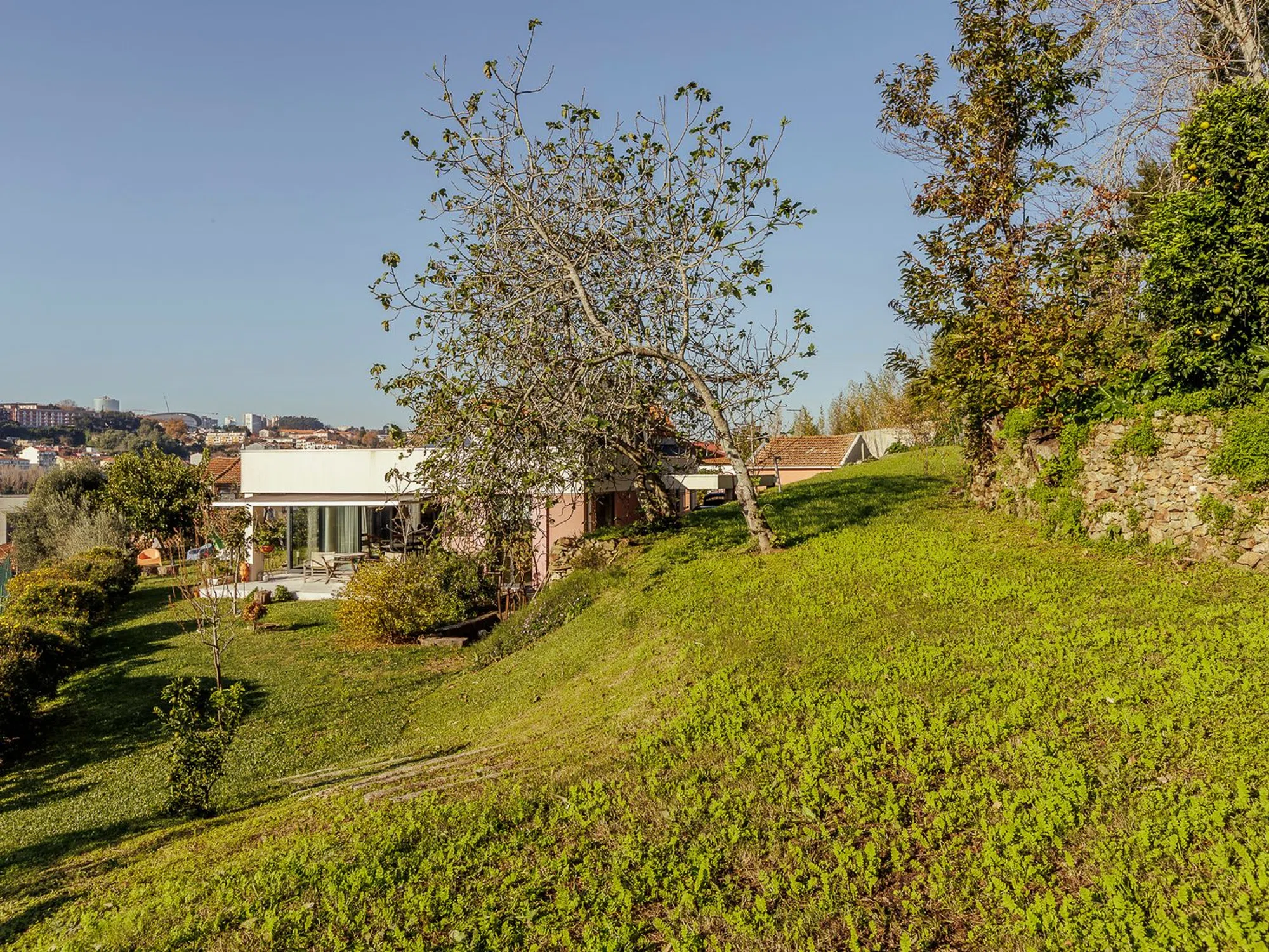 Quinta