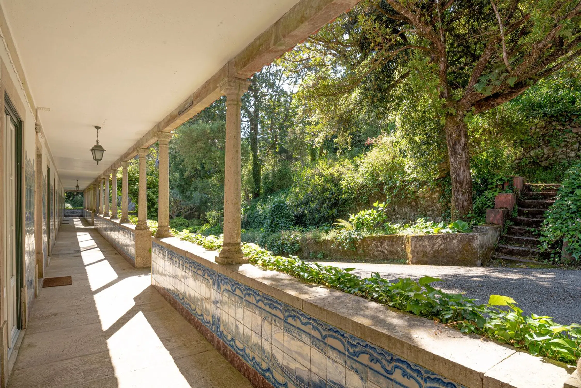Quinta - Photo 2
