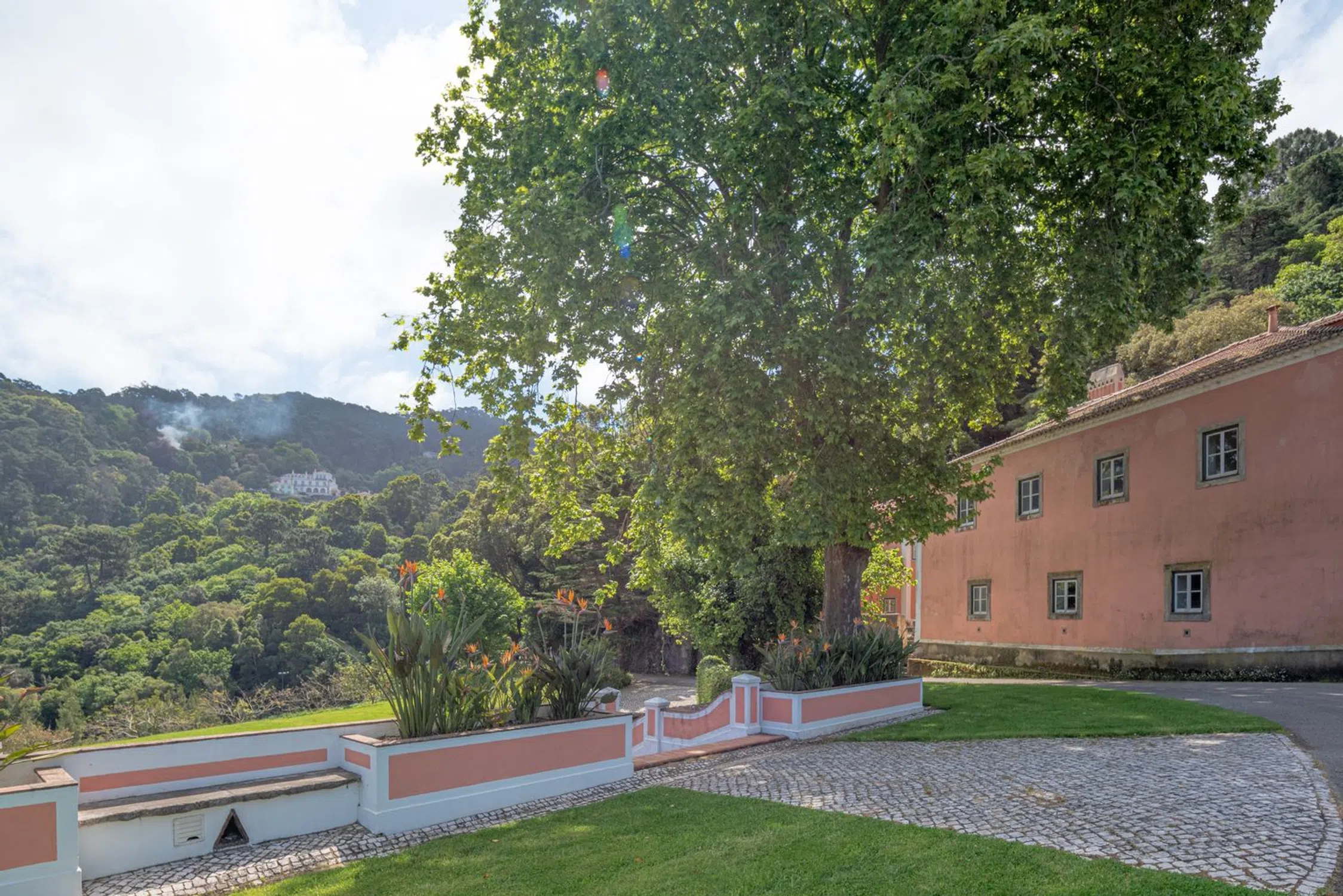 Quinta - Photo 13