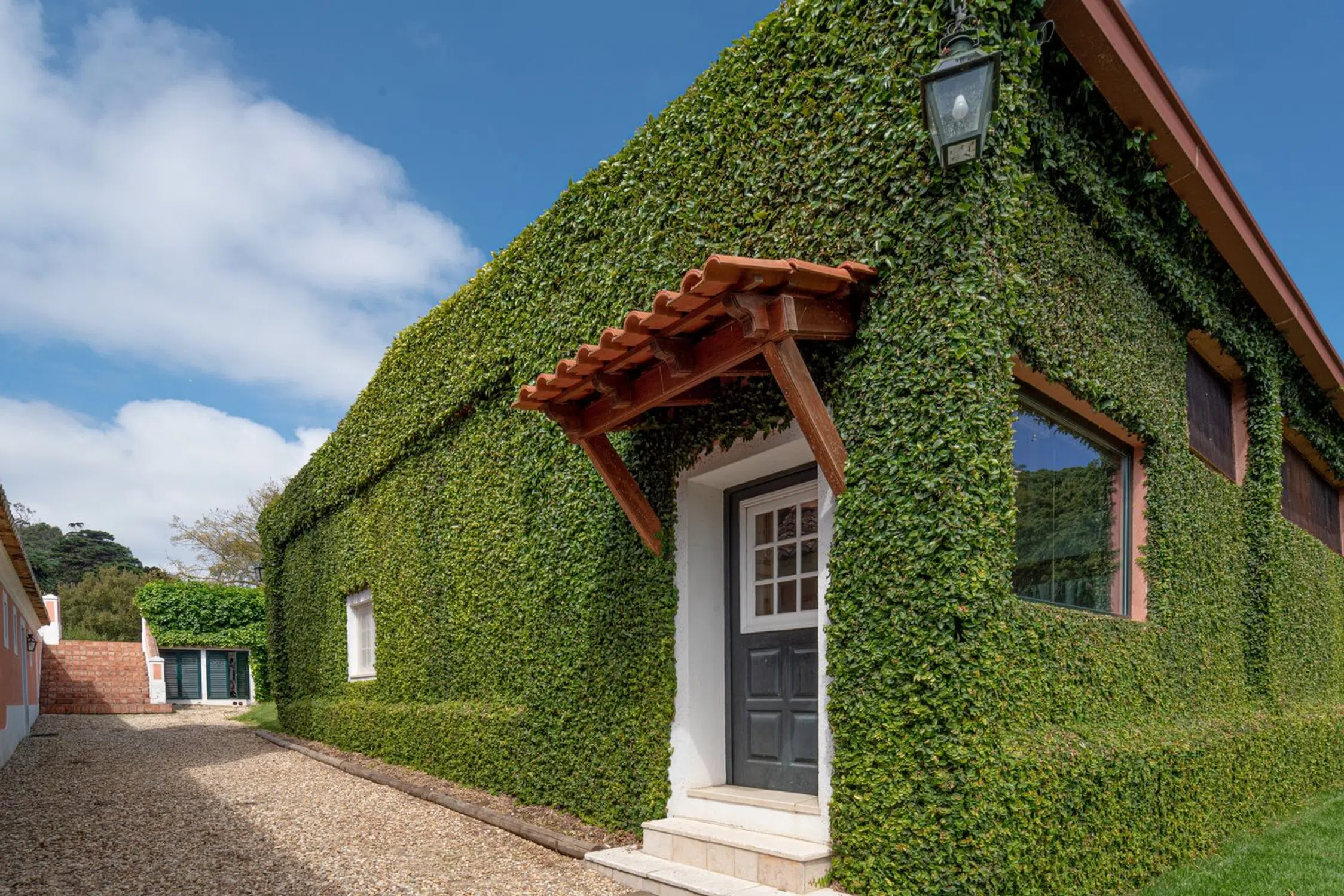 Quinta - Photo 15