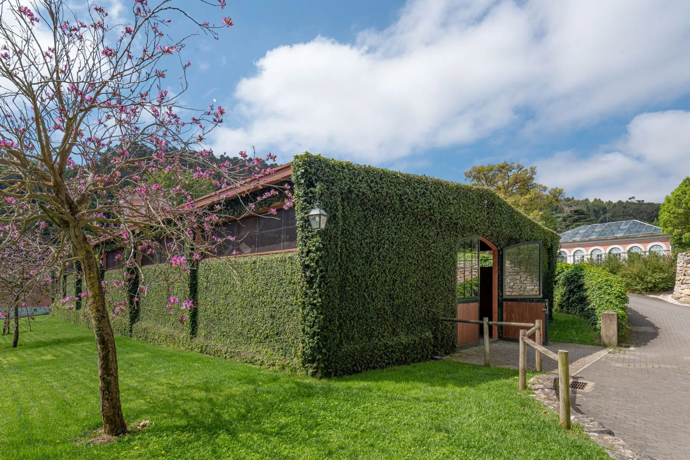 Quinta - Photo 16