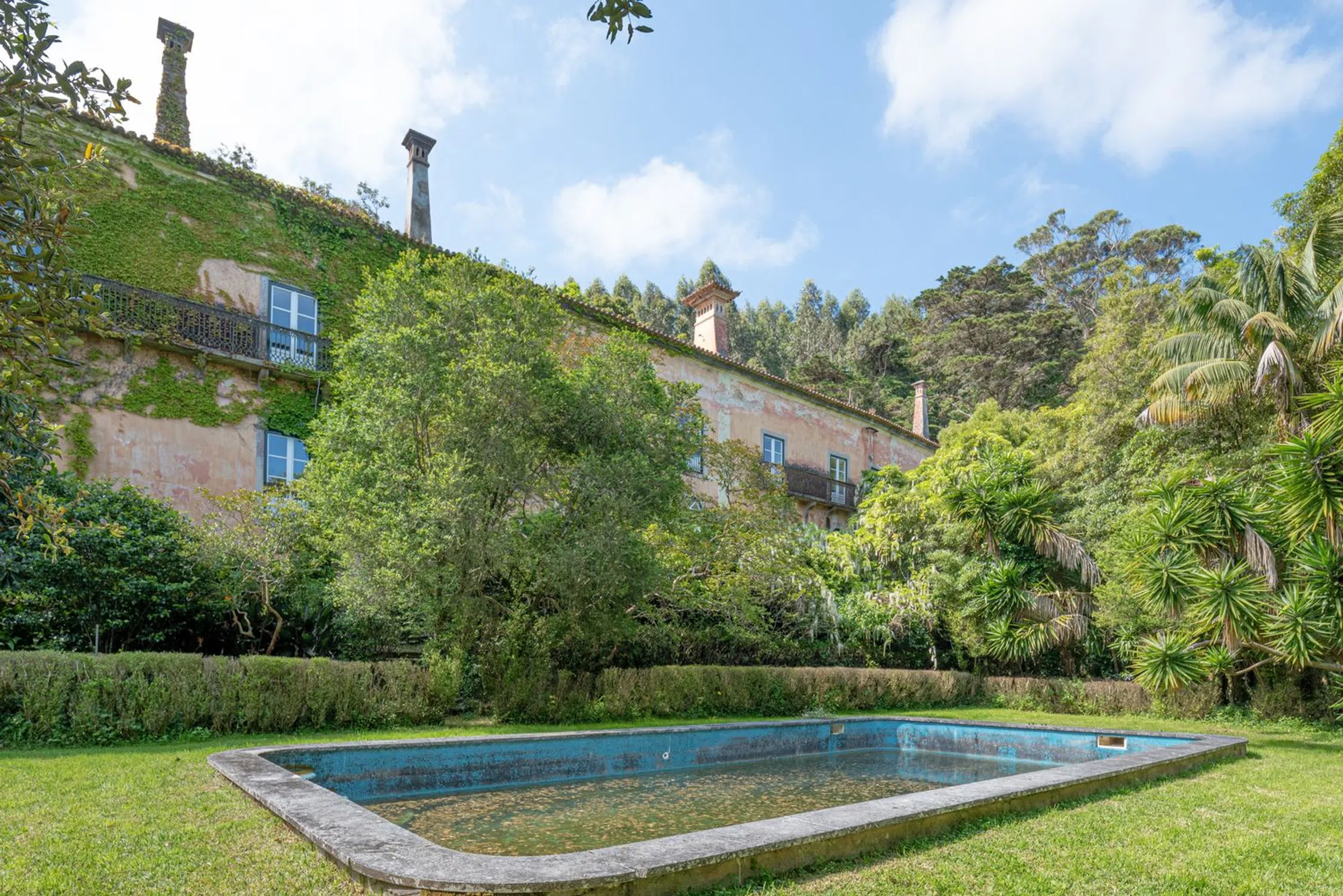 Quinta - Photo 8