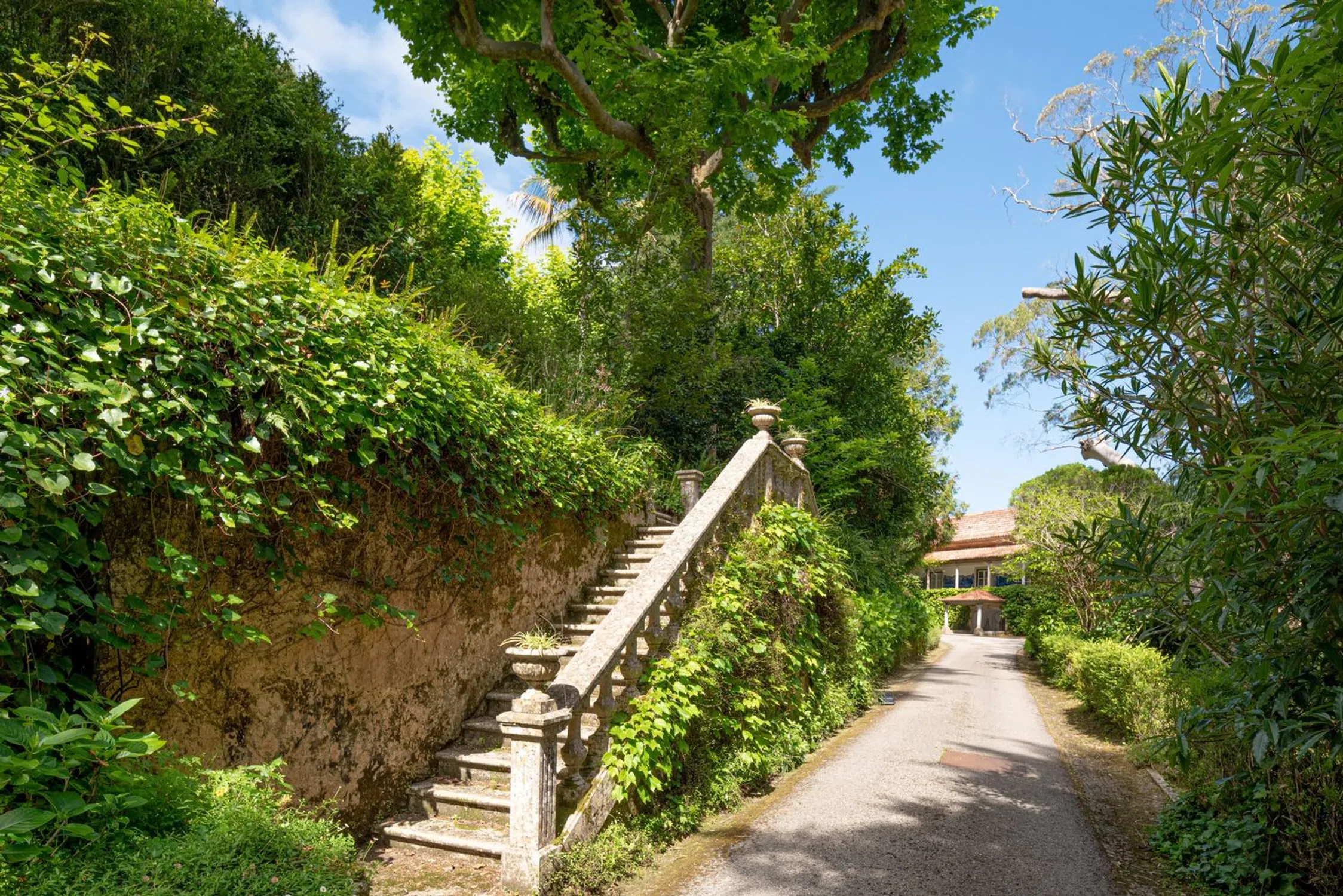 Quinta - Photo 9