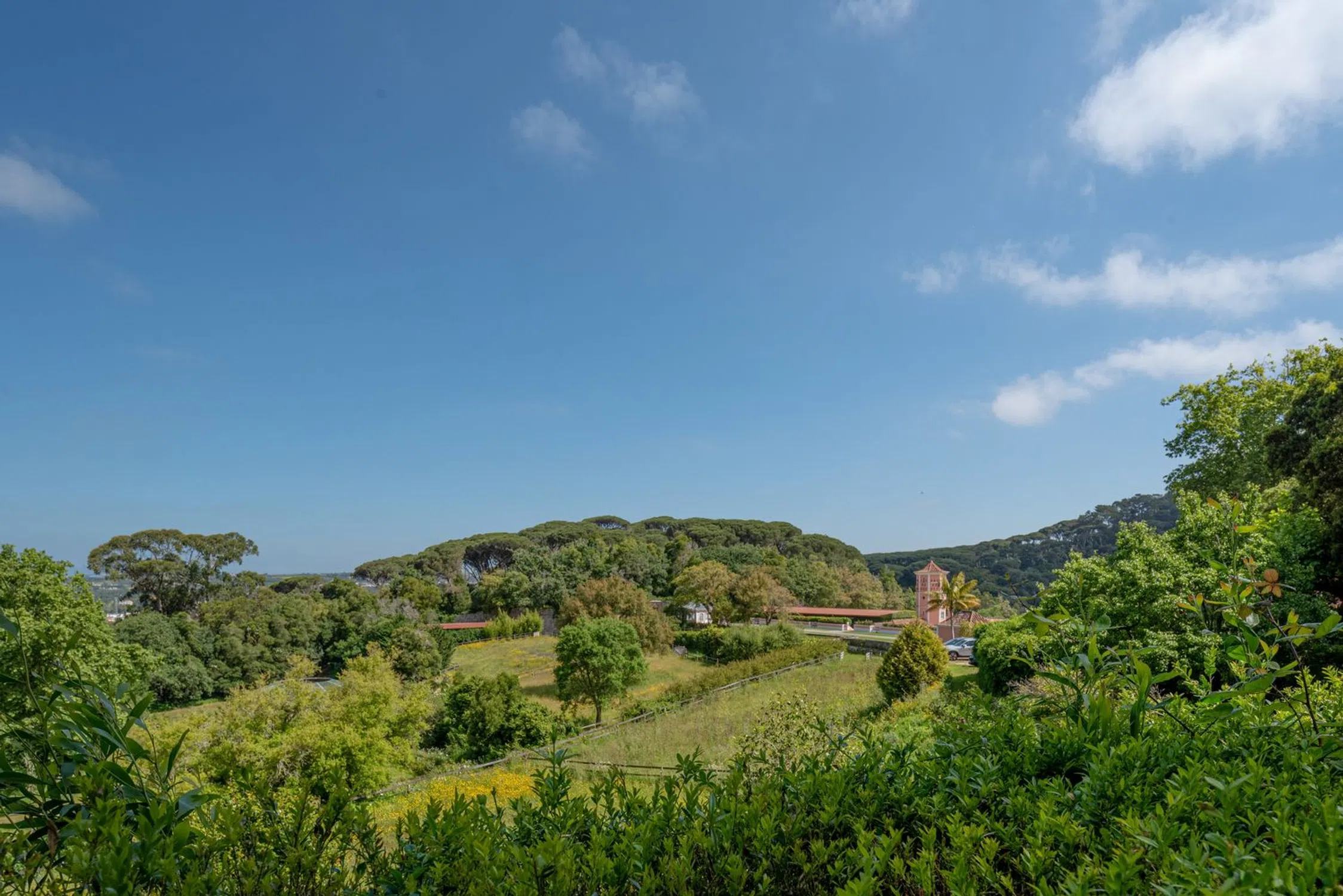 Quinta - Photo 10