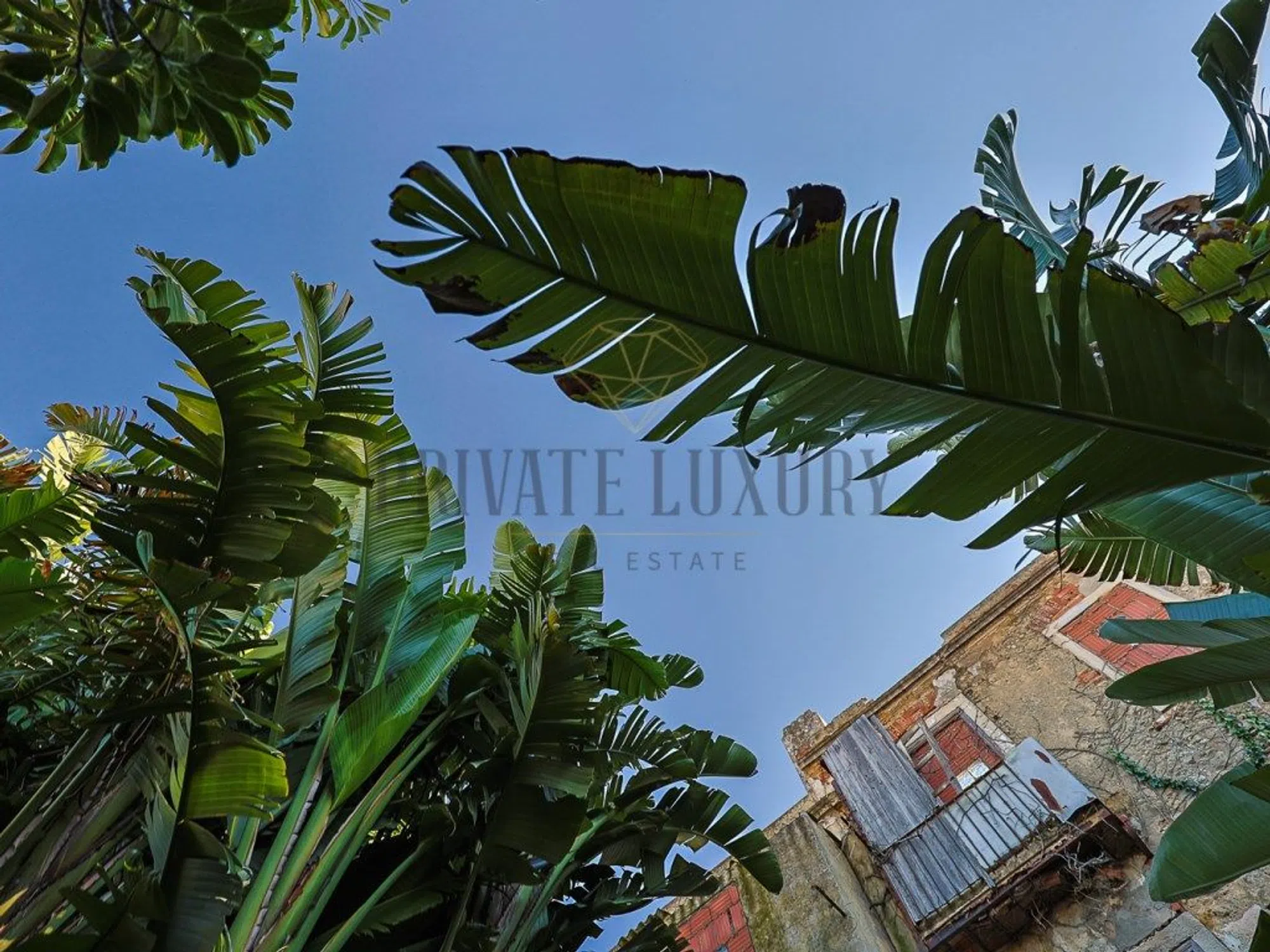 Moradia independente - Photo 12