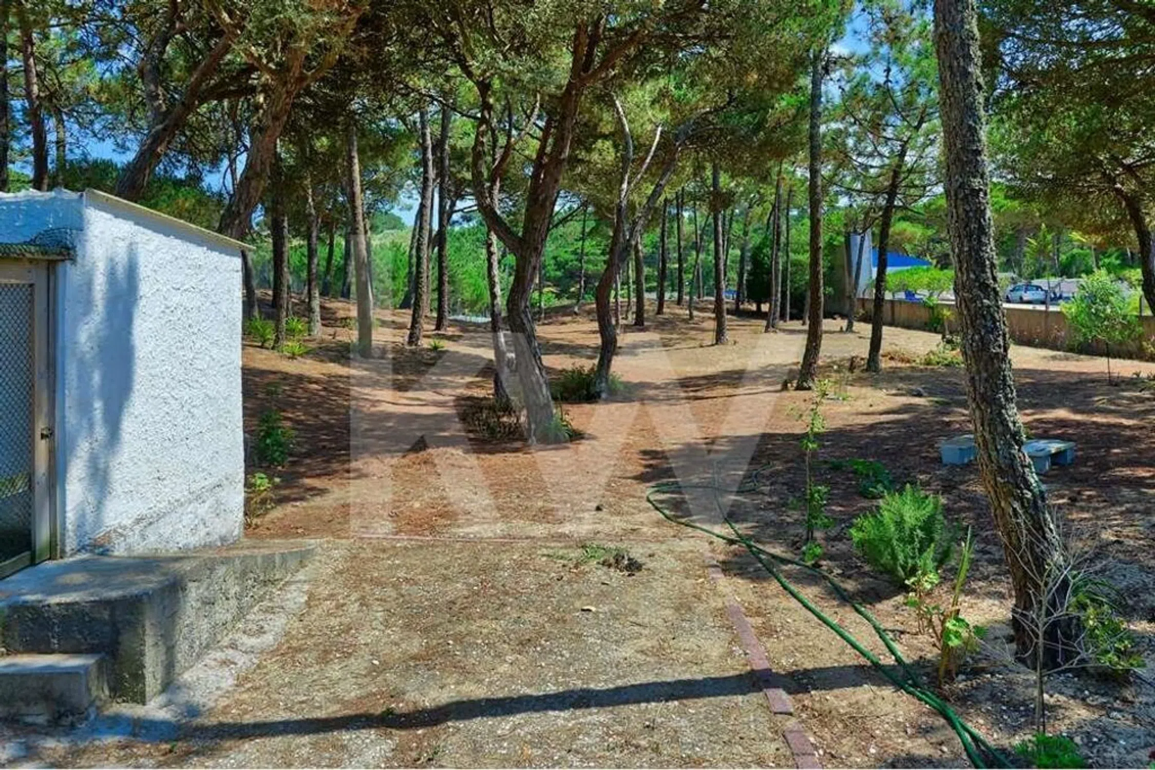 Moradia - Photo 11