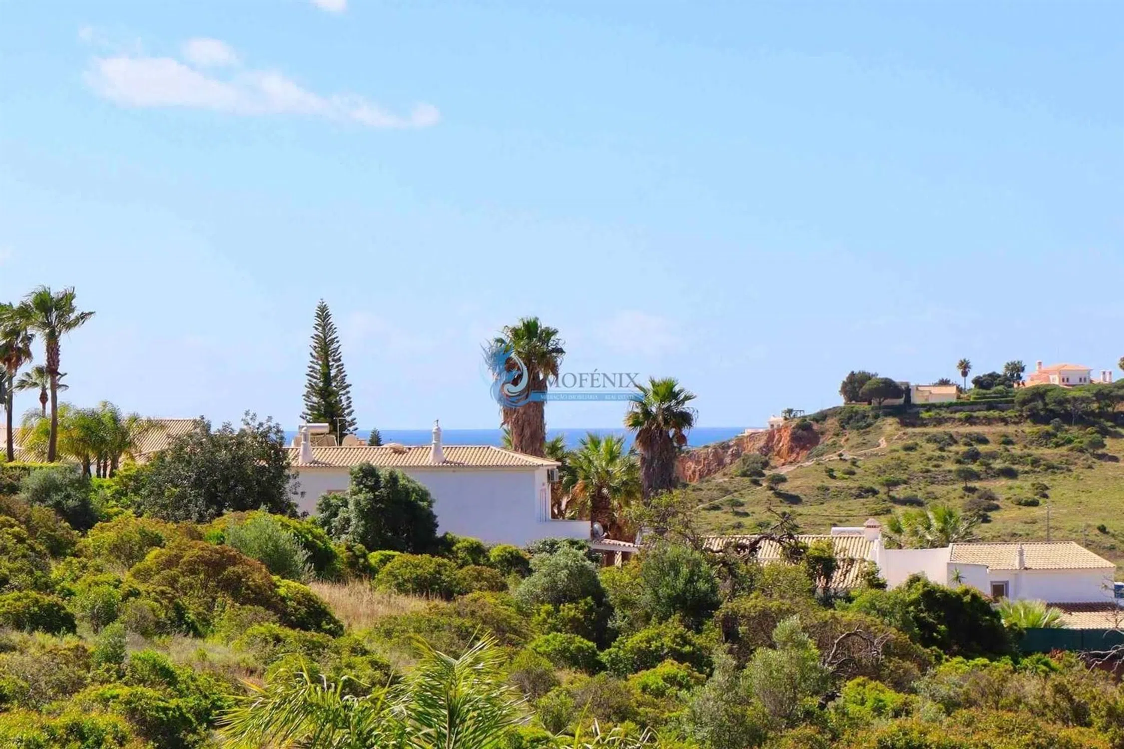 Moradia - Photo 4