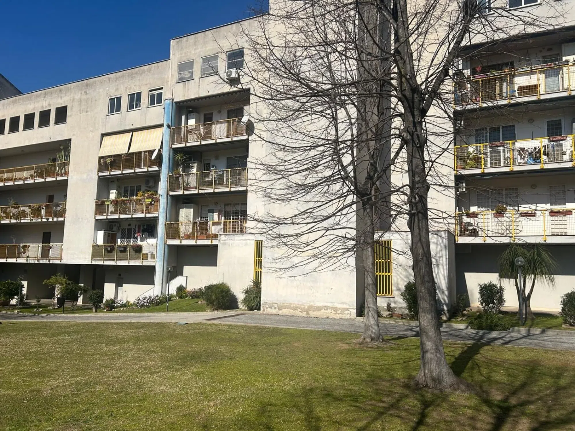Bilocale in via Bepi Romagnoni s.n.c. - Photo 2