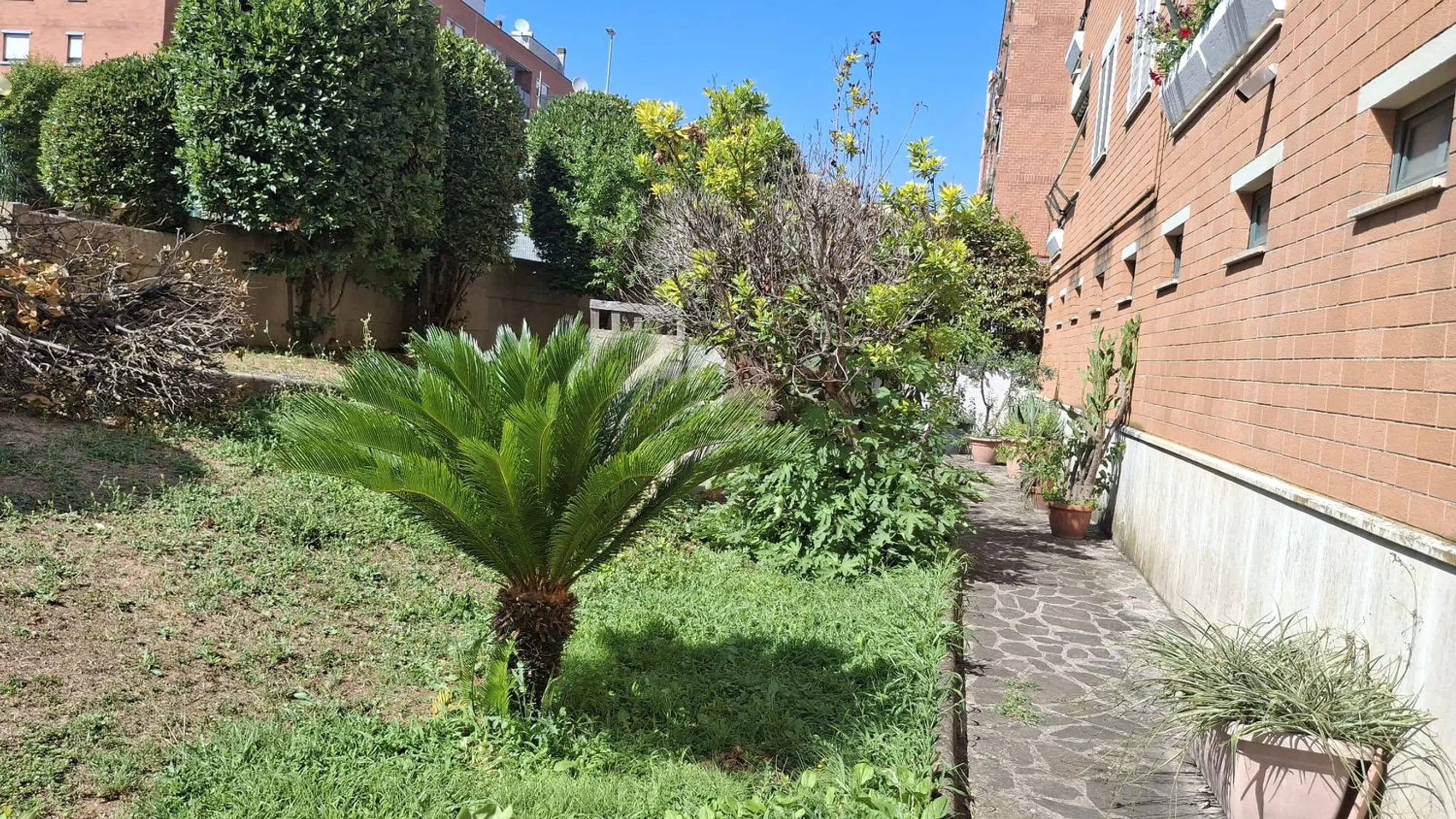 Appartamento in via Donato Menichella s.n.c. - Photo 19
