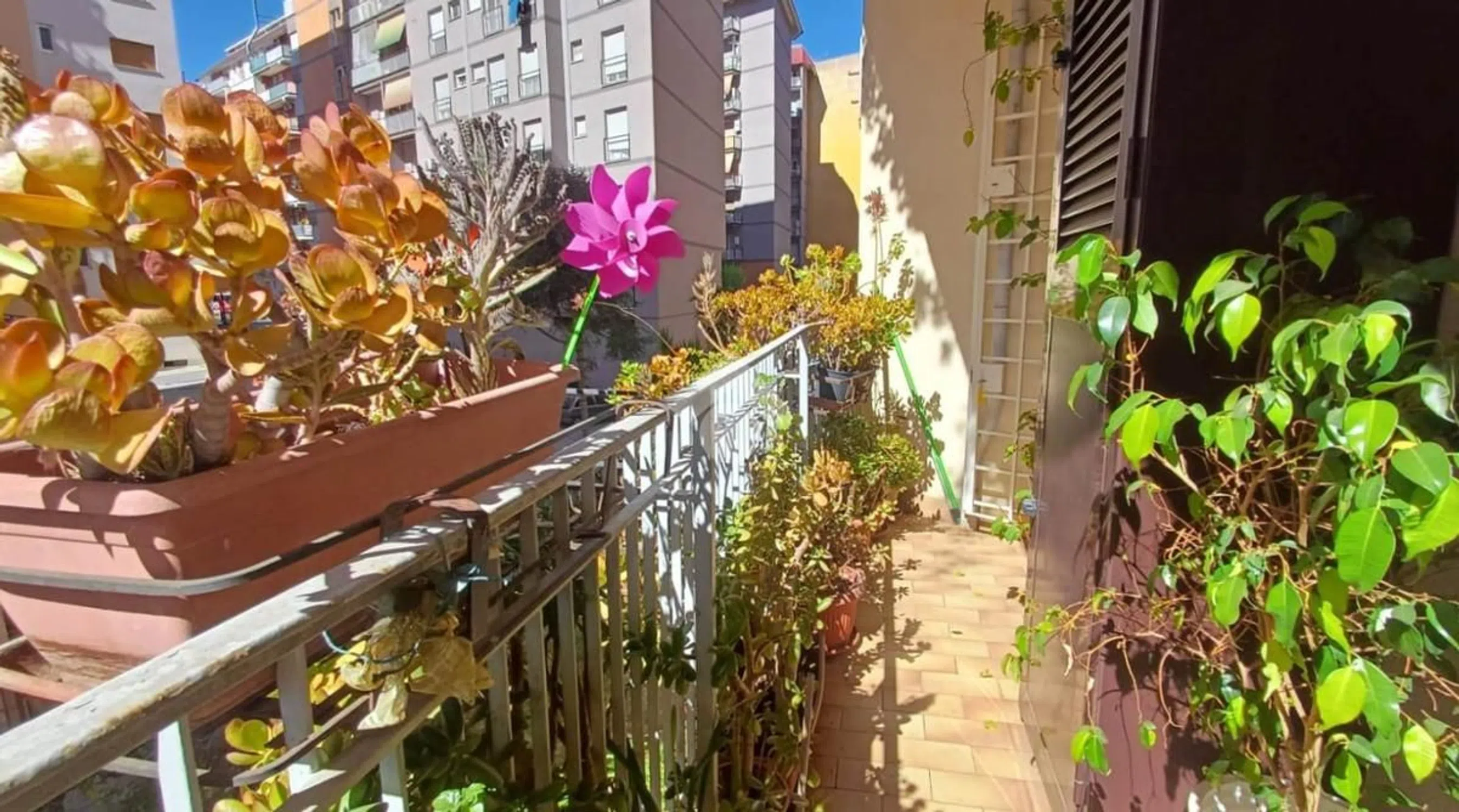 Quadrilocale in via di Pietralata, 326 - Photo 6