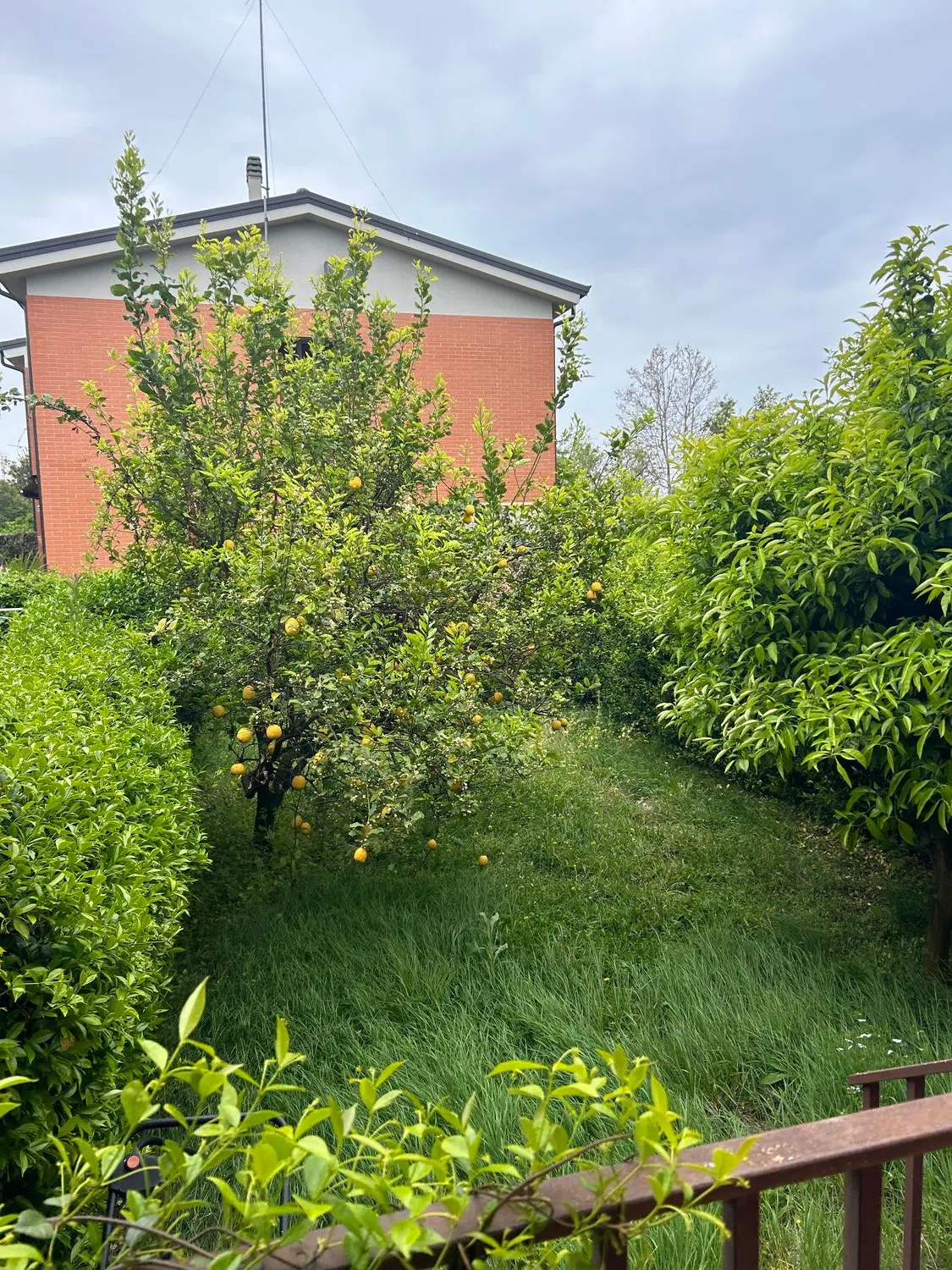 Villetta a schiera in via di Macchia Palocco, 111 - Photo 15