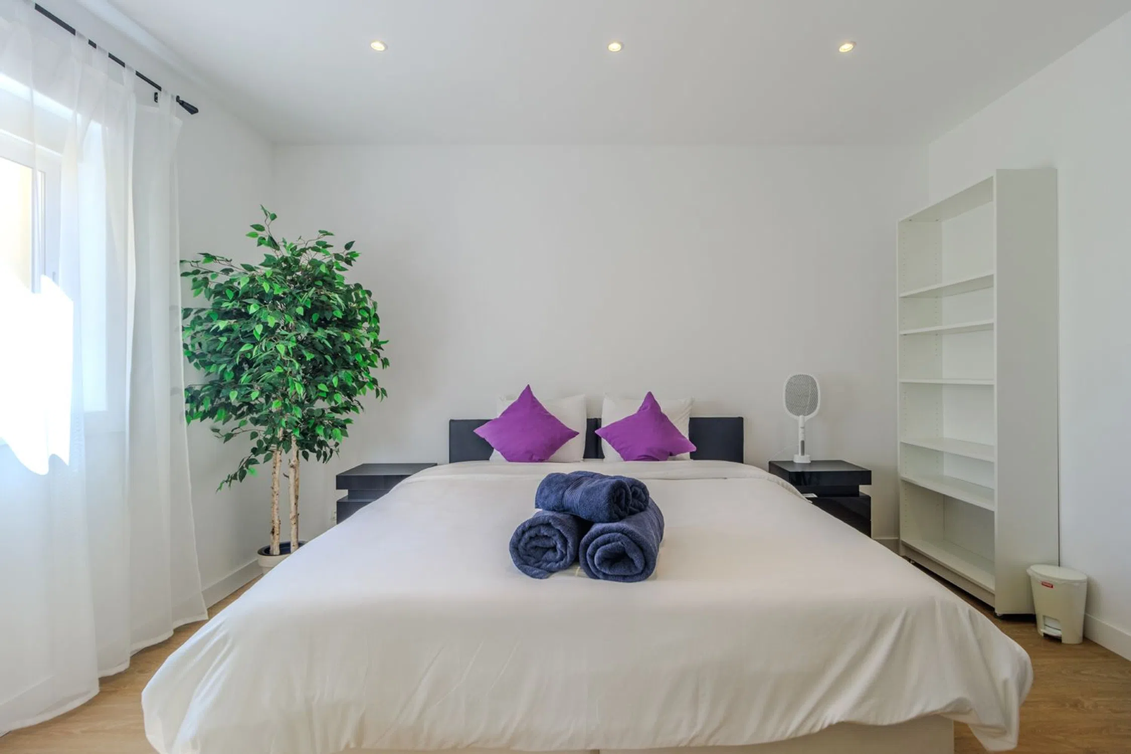 Moradia - Photo 7