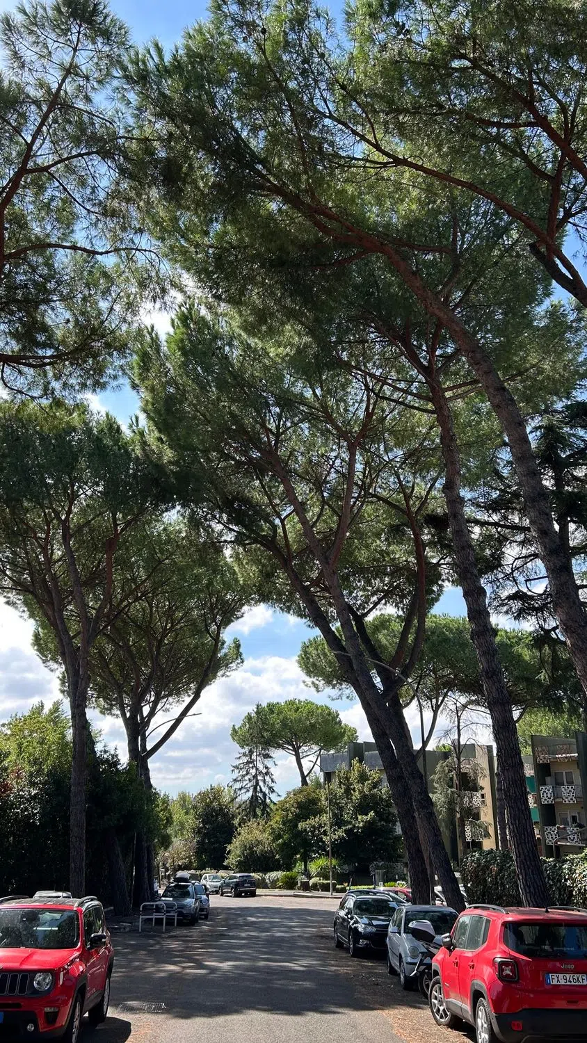 Villetta a schiera in via Leonida Rech s.n.c. - Photo 19