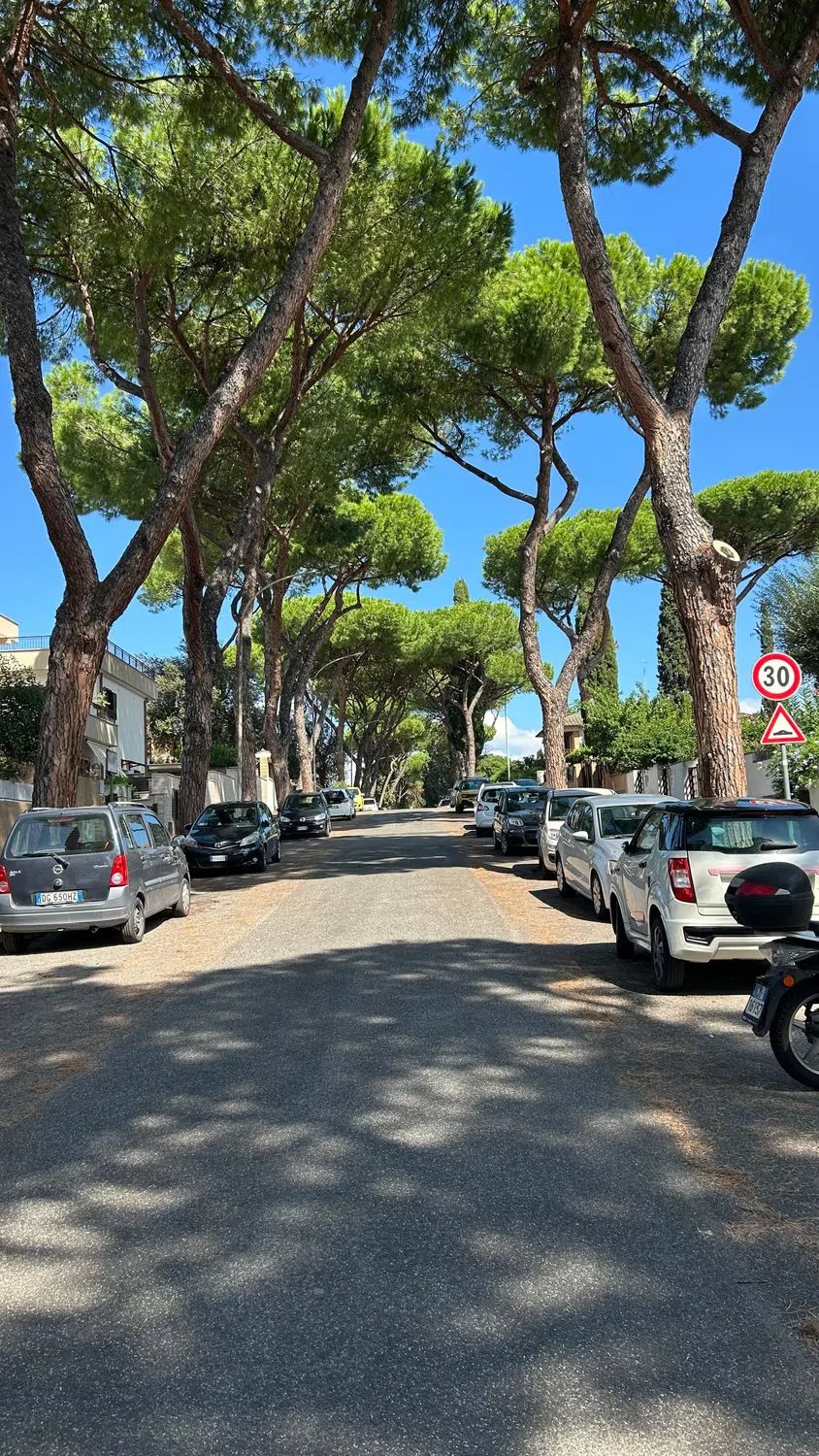 Villetta a schiera in via Leonida Rech s.n.c. - Photo 20