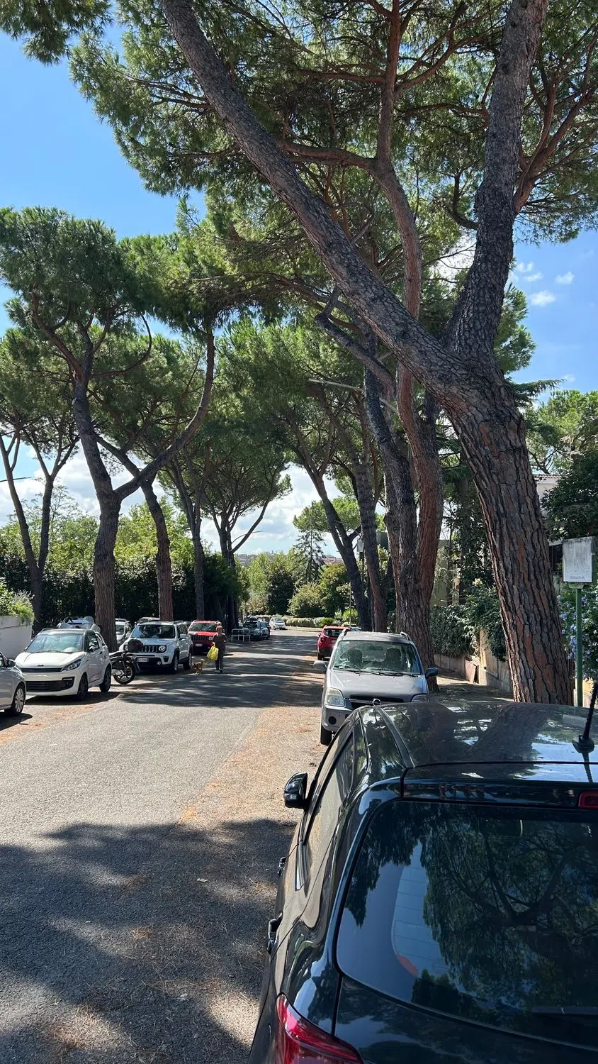 Villetta a schiera in via Leonida Rech s.n.c. - Photo 7