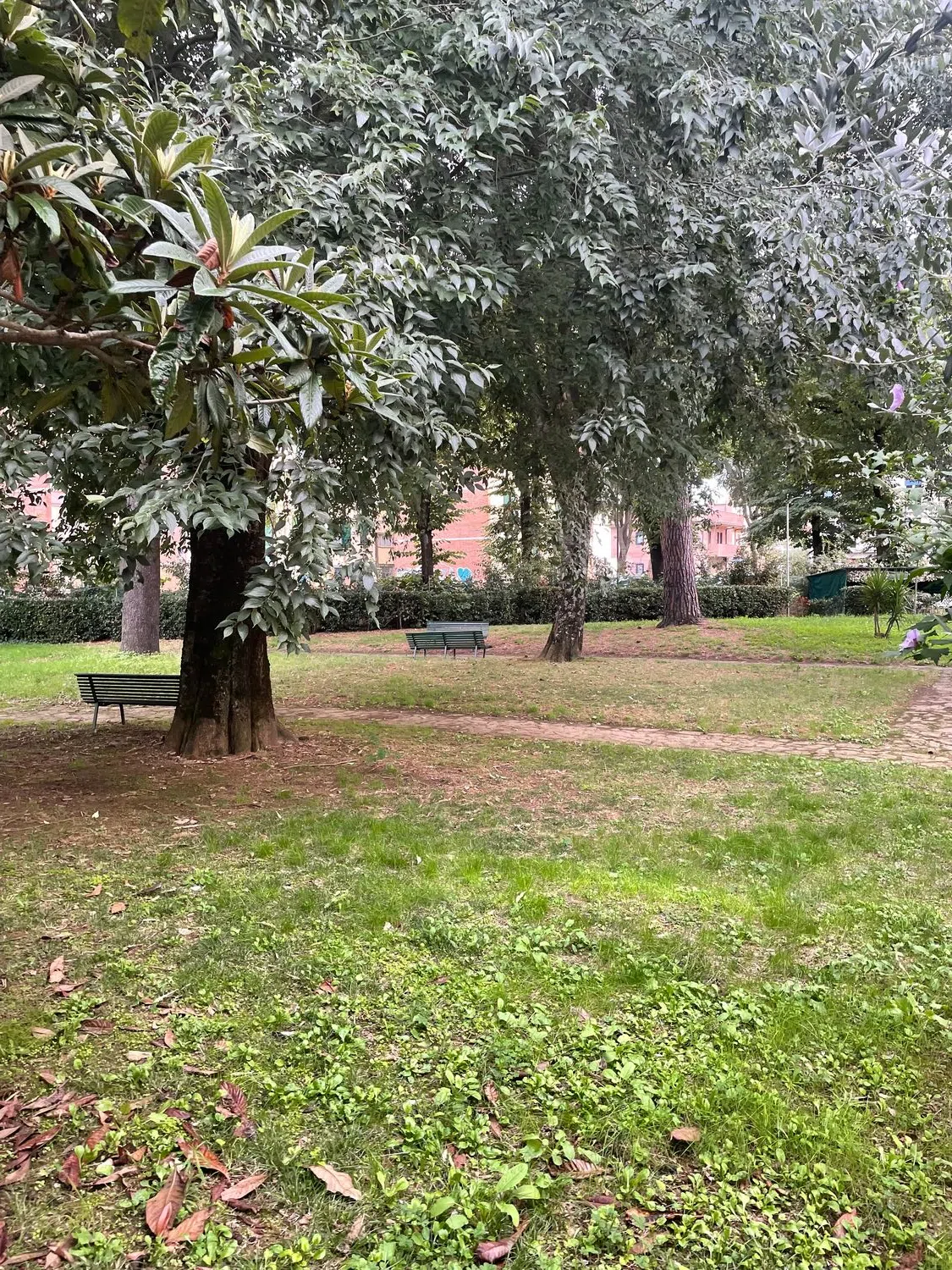 Appartamento in via di Rocca Tedalda, 107 - Photo 17