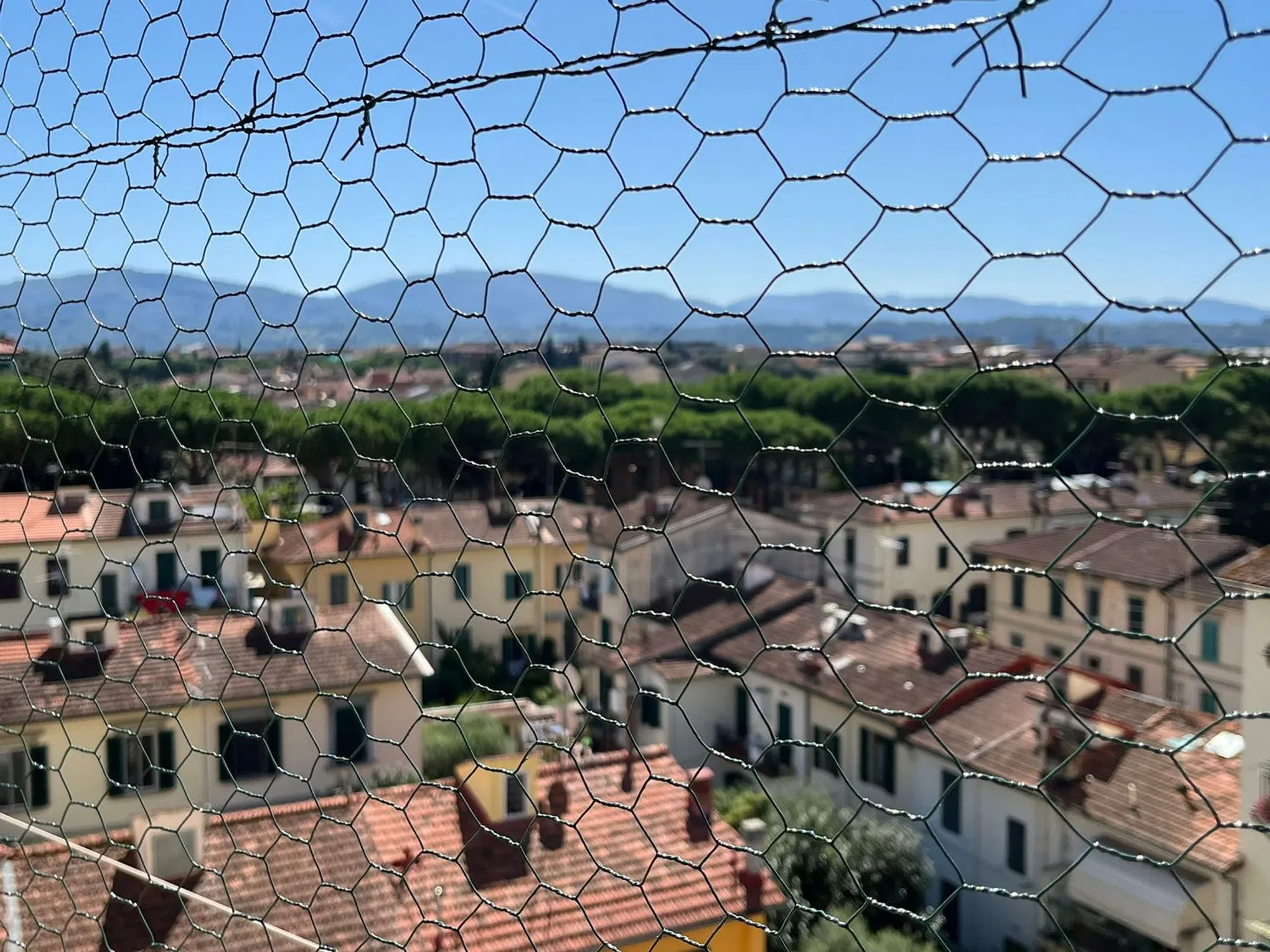 Quadrilocale in viale Terenzio Mamiani s.n.c. - Photo 11