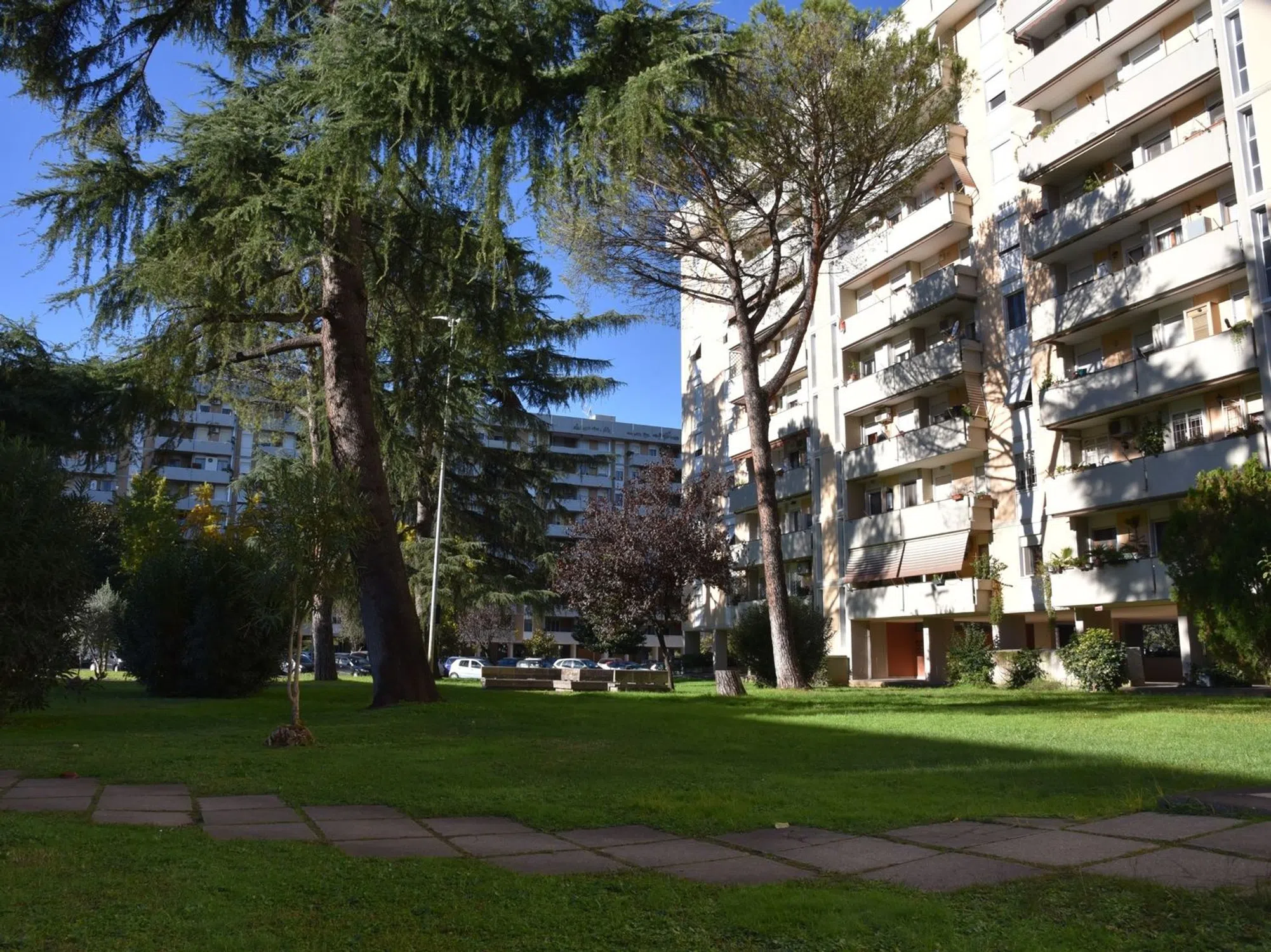 Trilocale in via Angelica Balabanoff - Photo 5