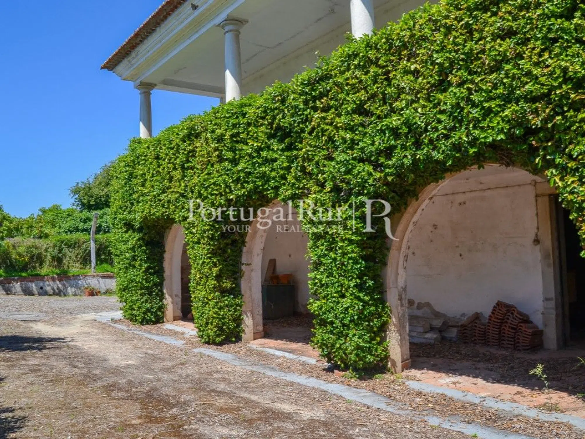 Palácio - Photo 2
