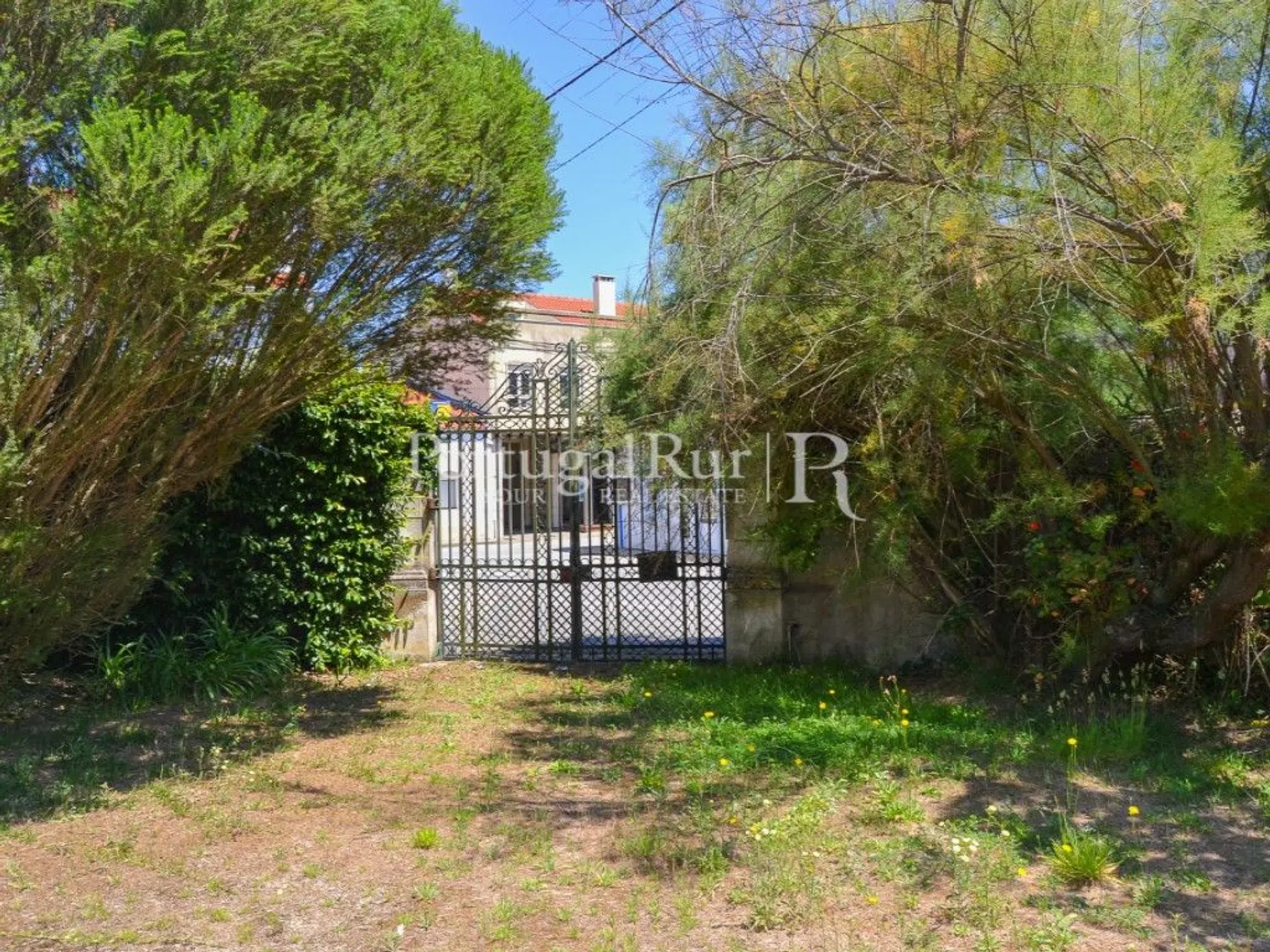 Palácio - Photo 19