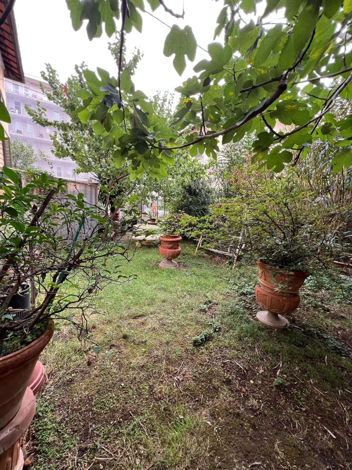 Casa indipendente in Giuseppe Galliano s.n.c. - Photo 19