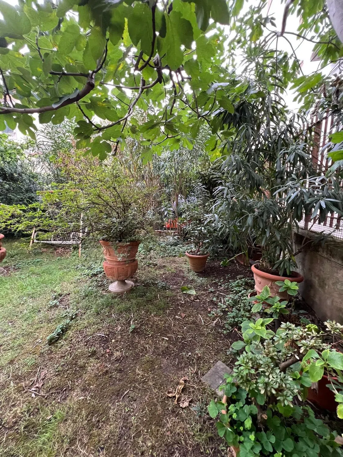 Casa indipendente in Giuseppe Galliano s.n.c. - Photo 20