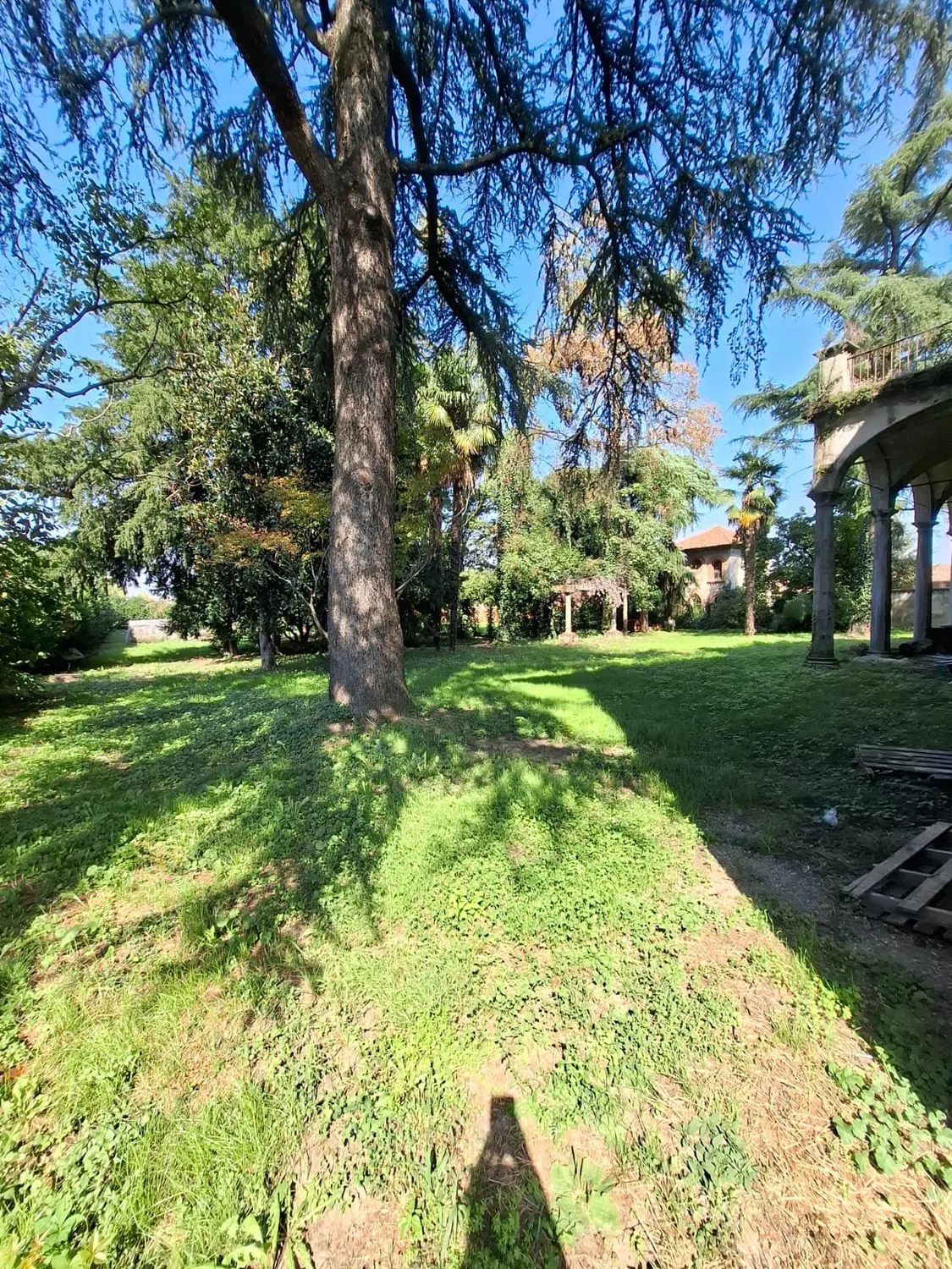 Villa in via Selvanesco, 30 - Photo 11