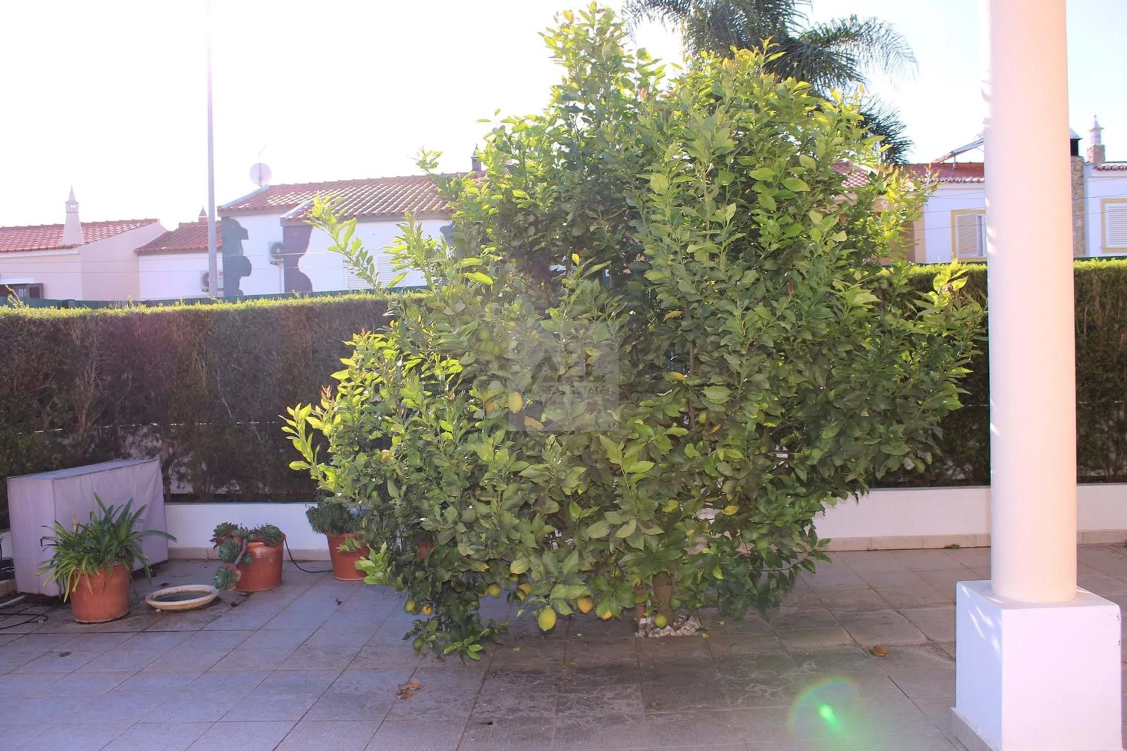 Moradia - Photo 13
