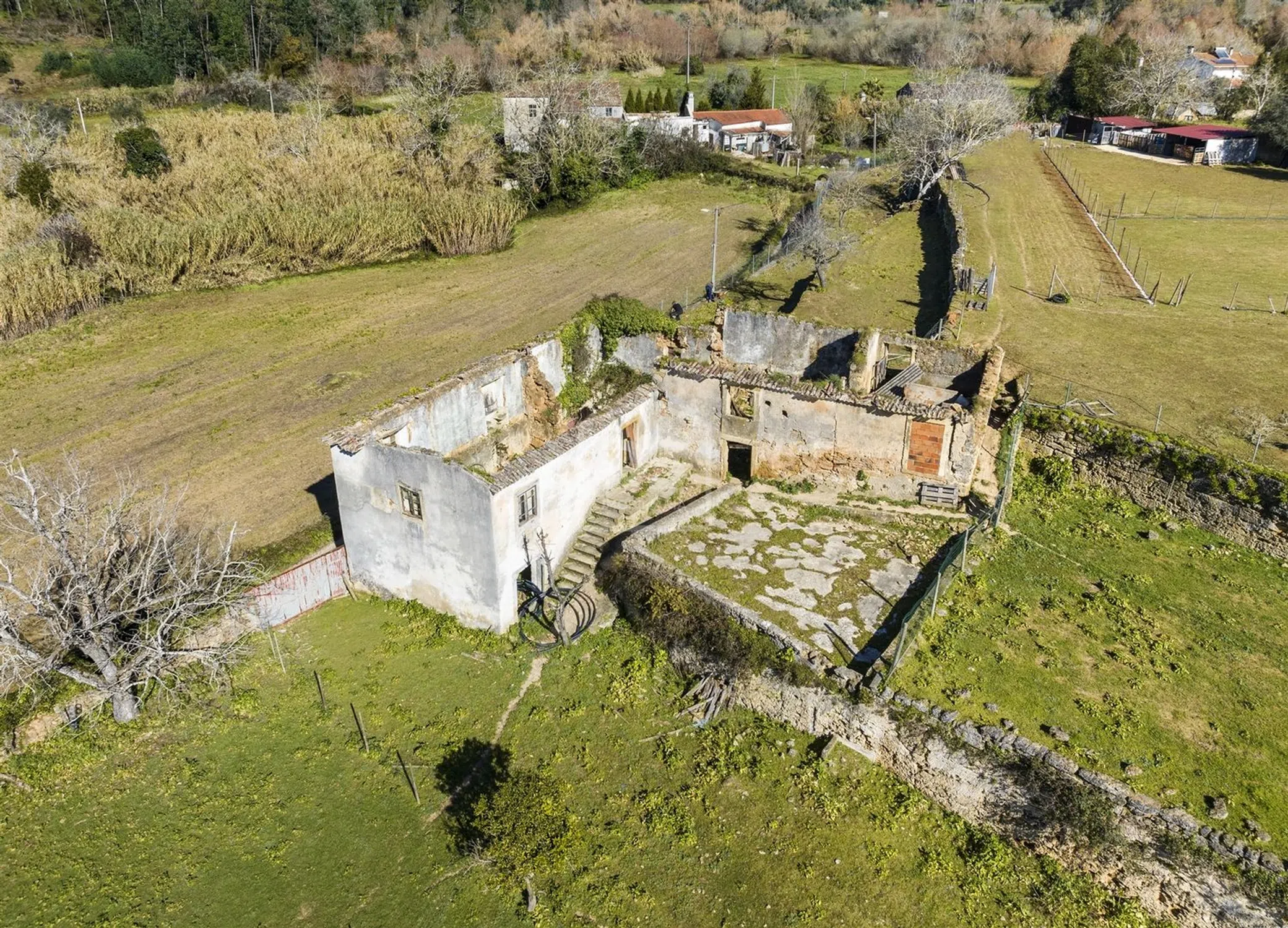 Quinta - Photo 1