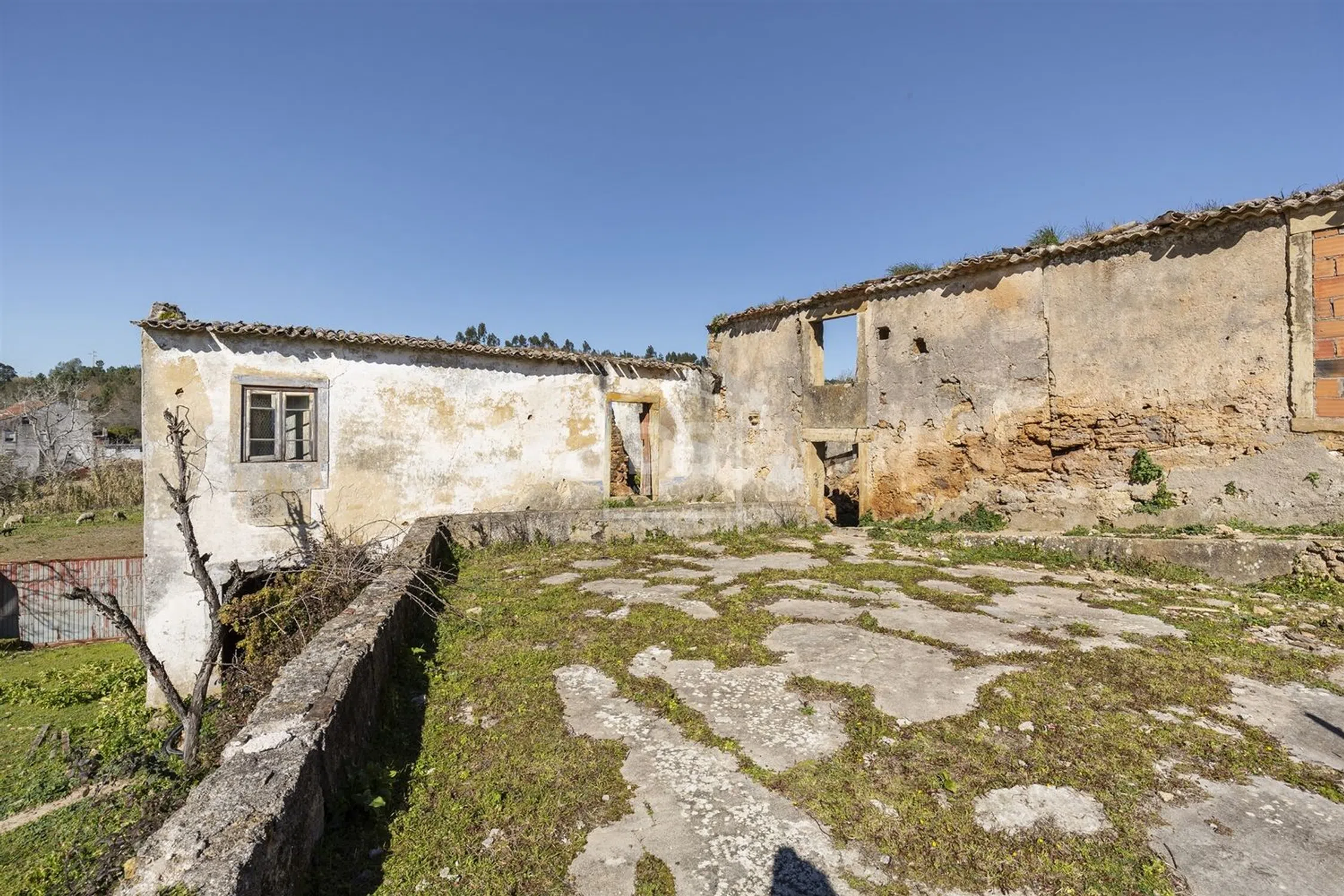 Quinta - Photo 11