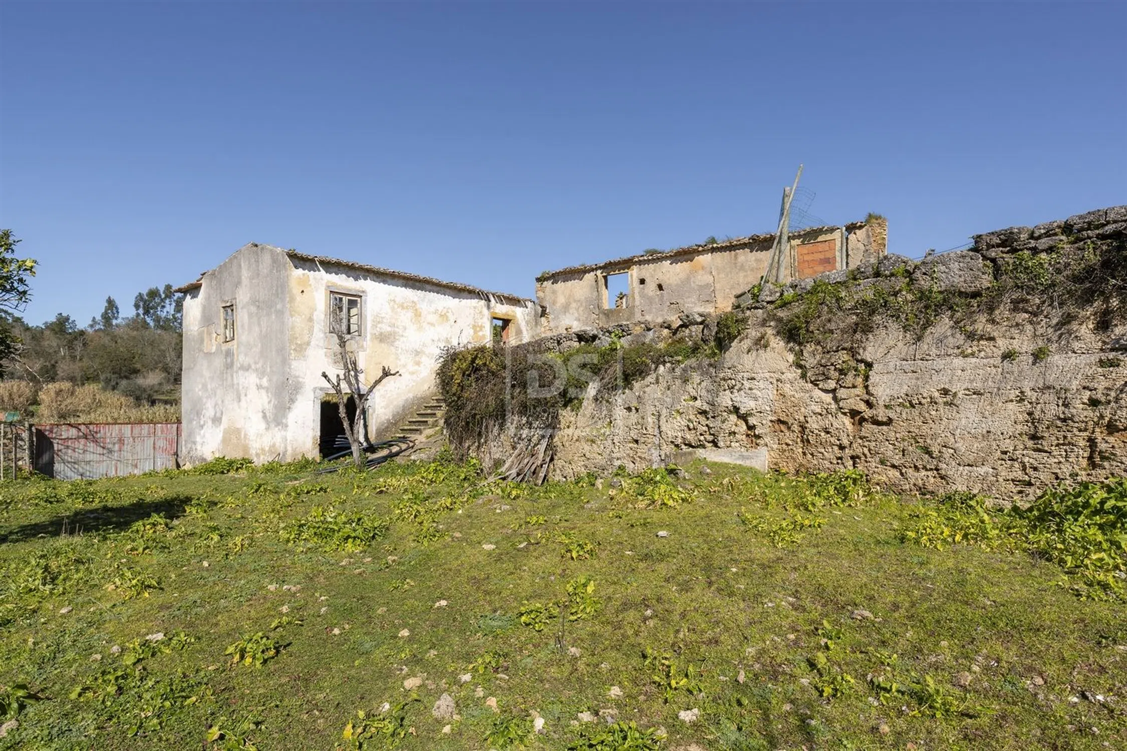 Quinta - Photo 12