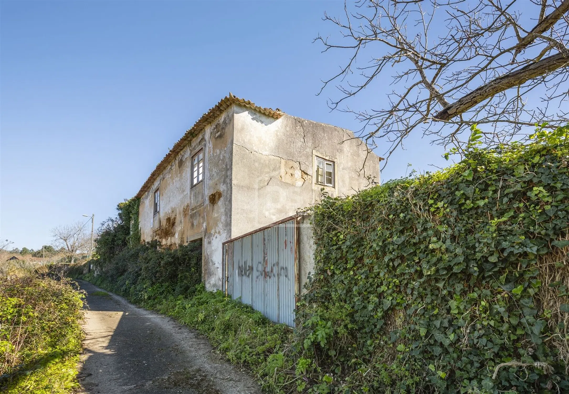 Quinta - Photo 13