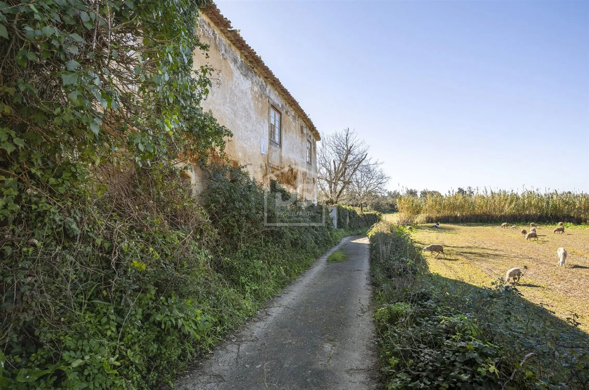 Quinta - Photo 14
