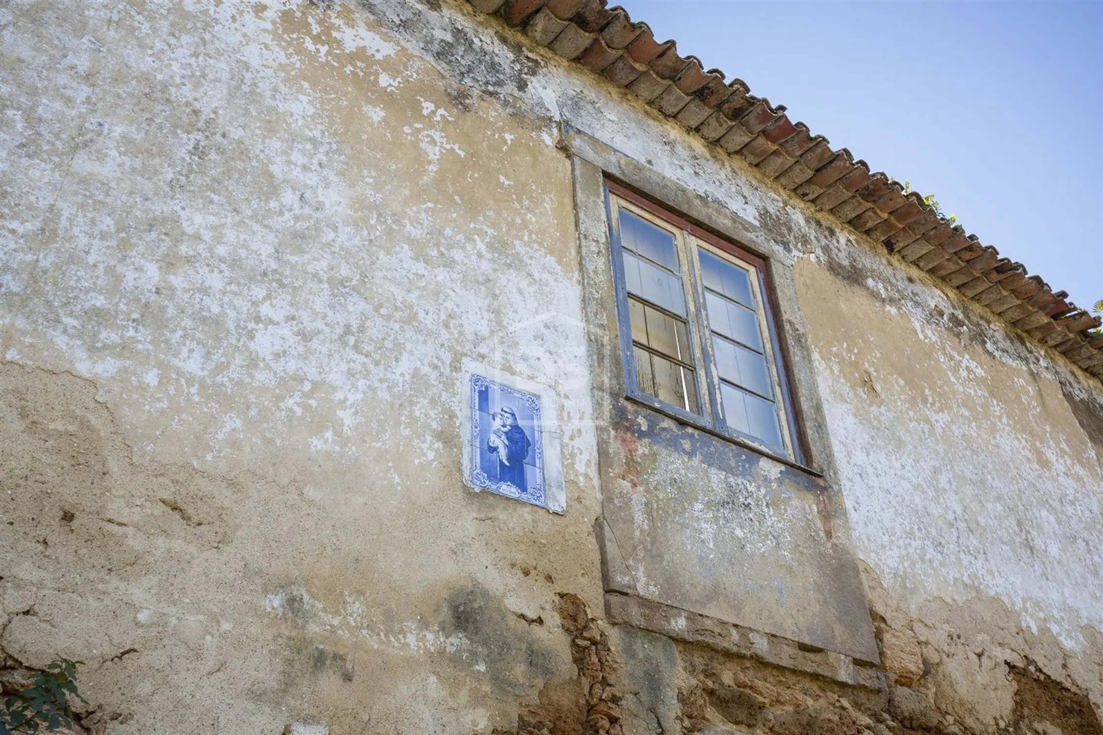 Quinta - Photo 15
