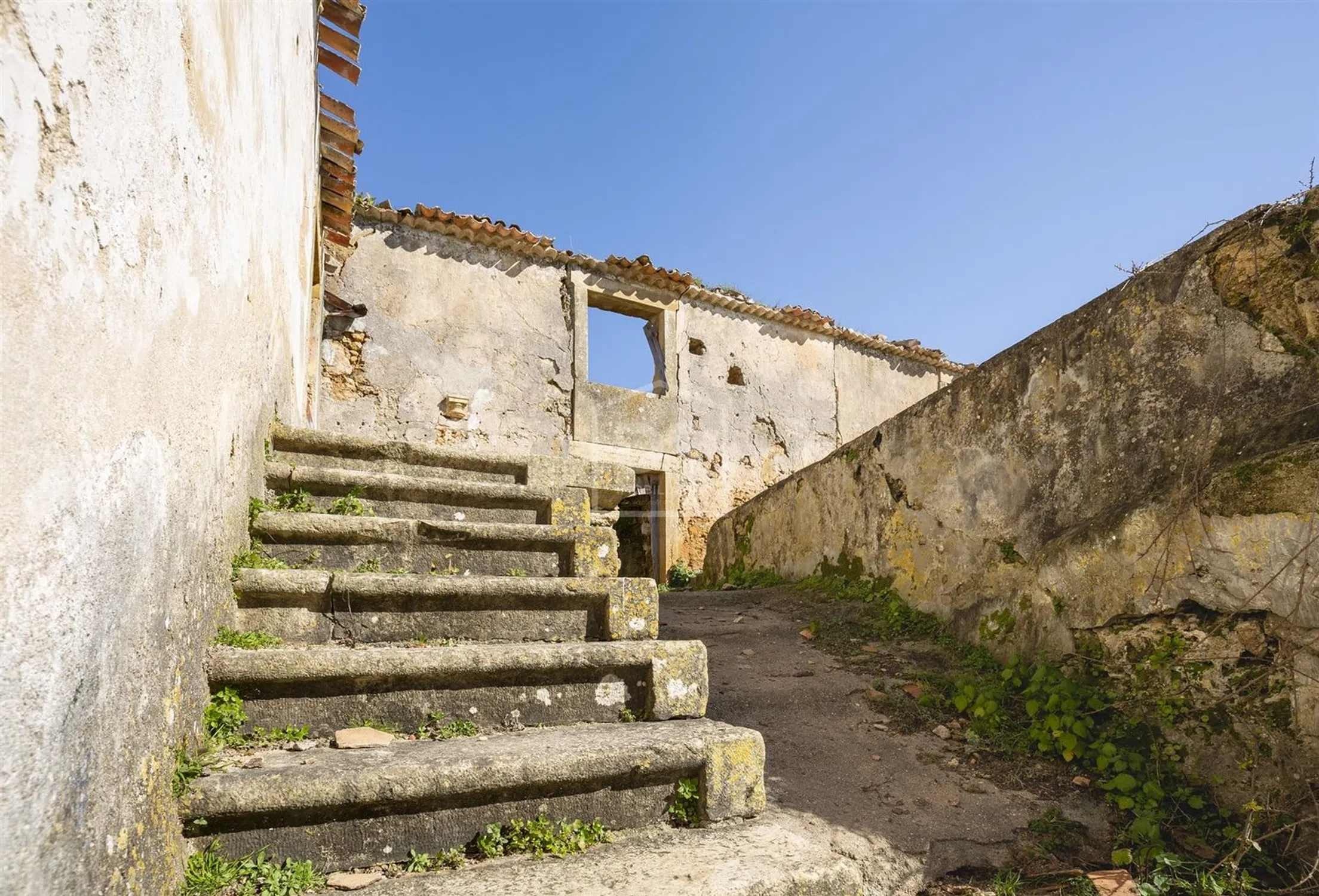 Quinta - Photo 16