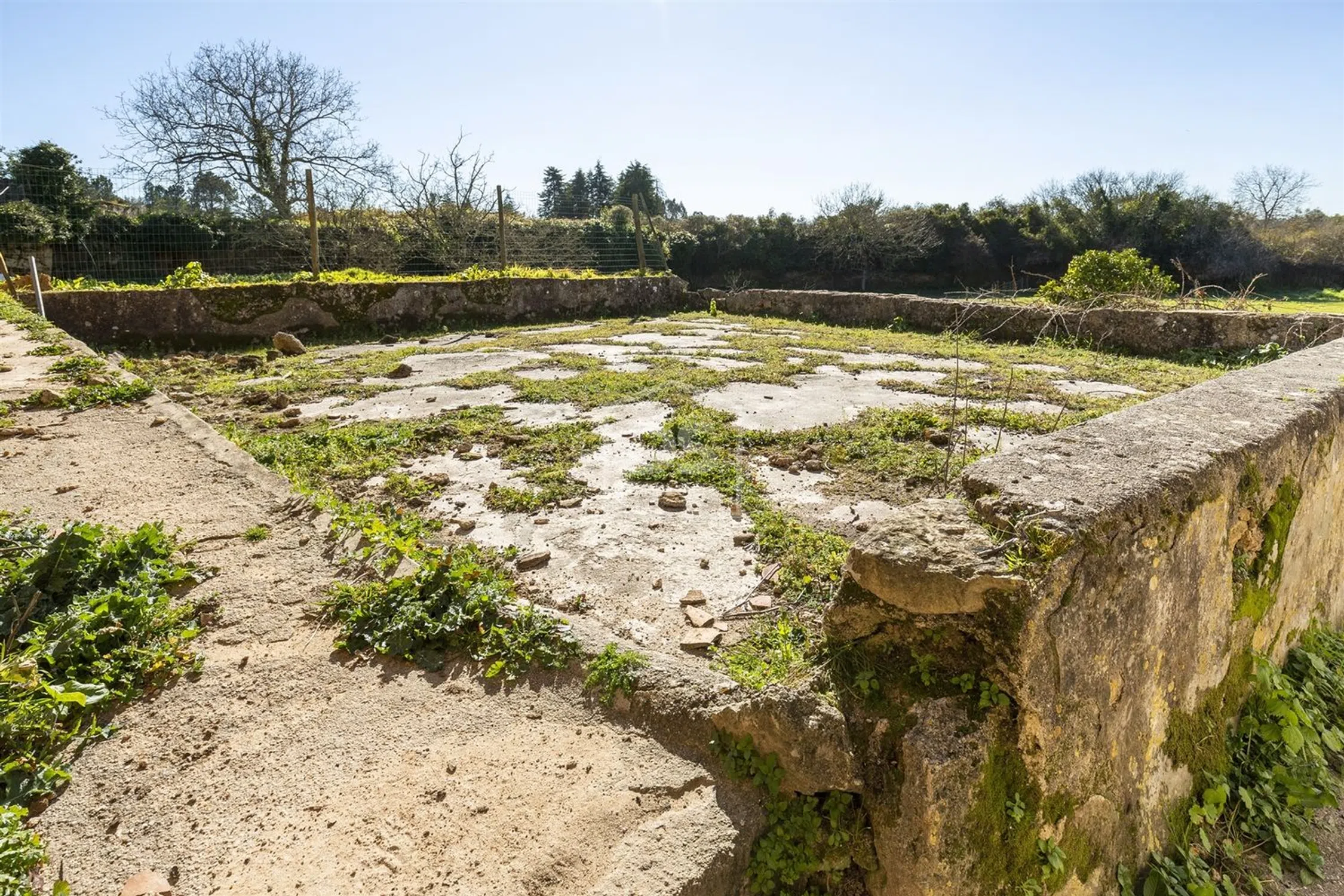 Quinta - Photo 17