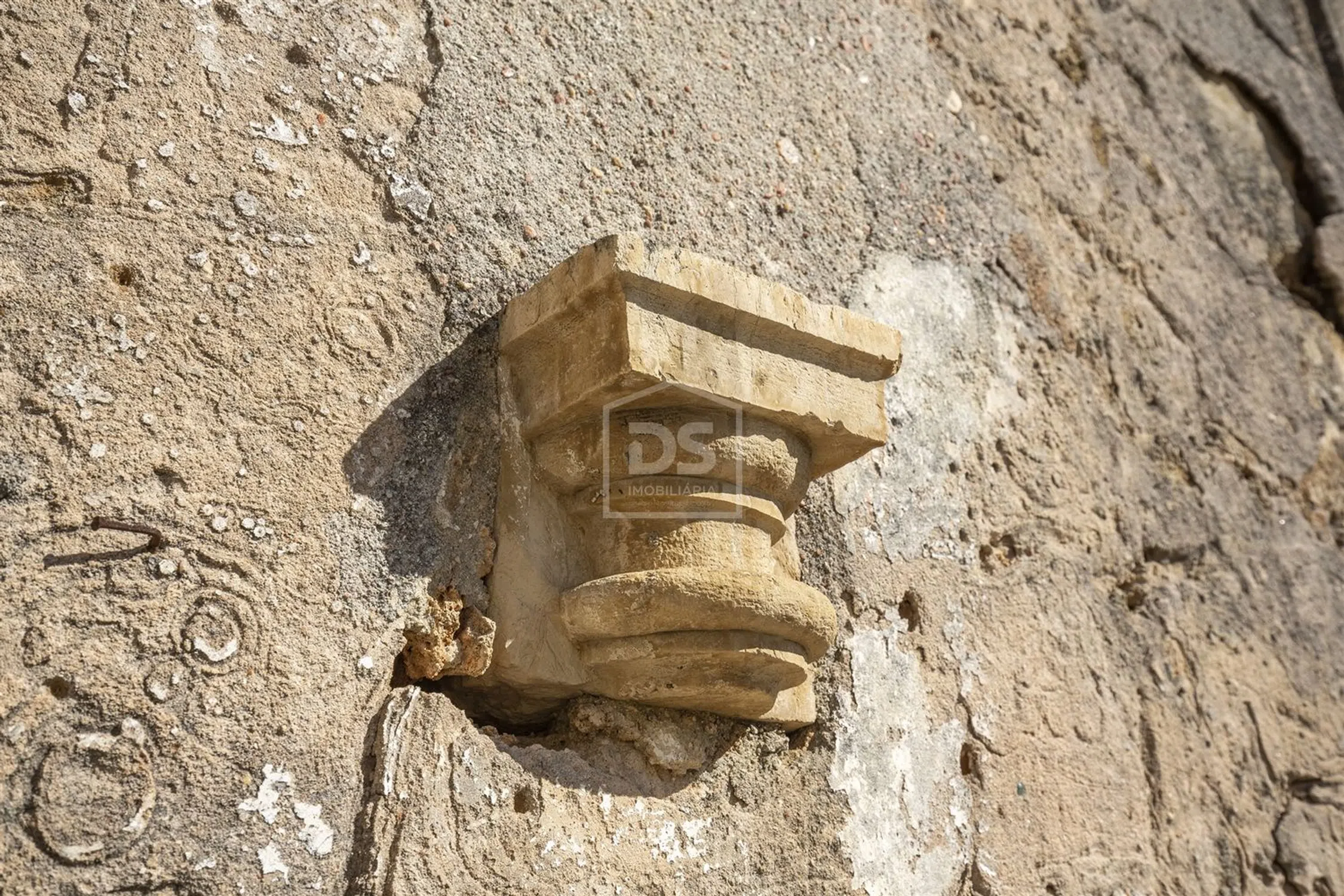 Quinta - Photo 18