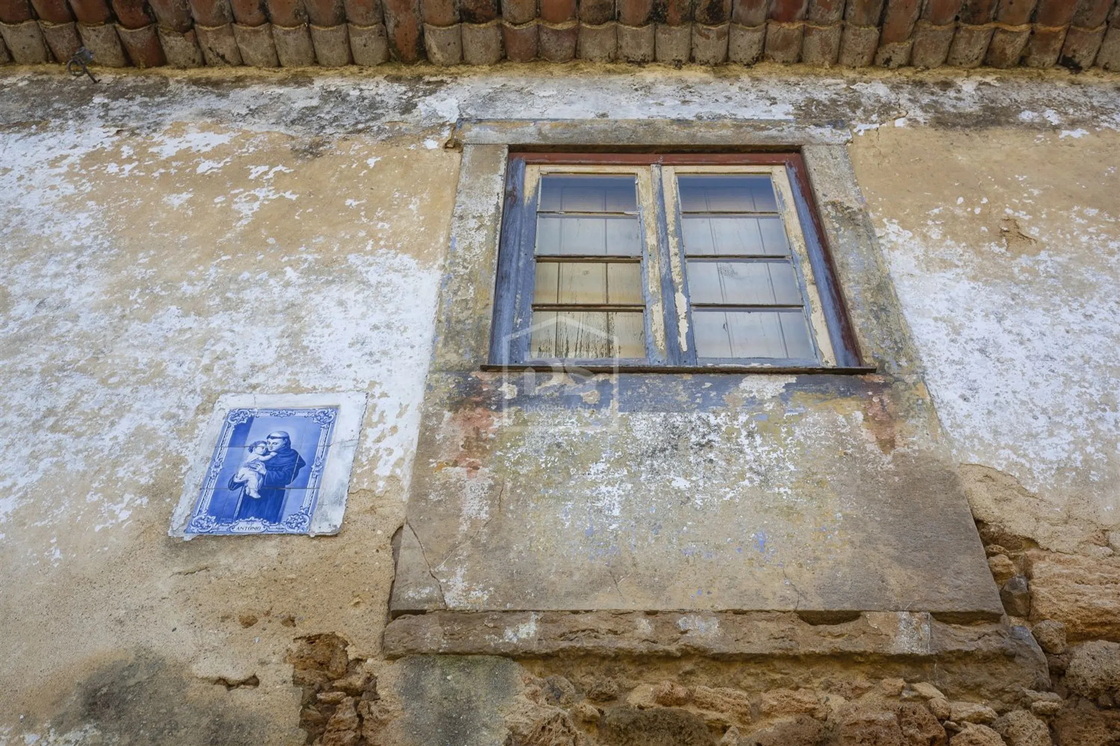 Quinta - Photo 19