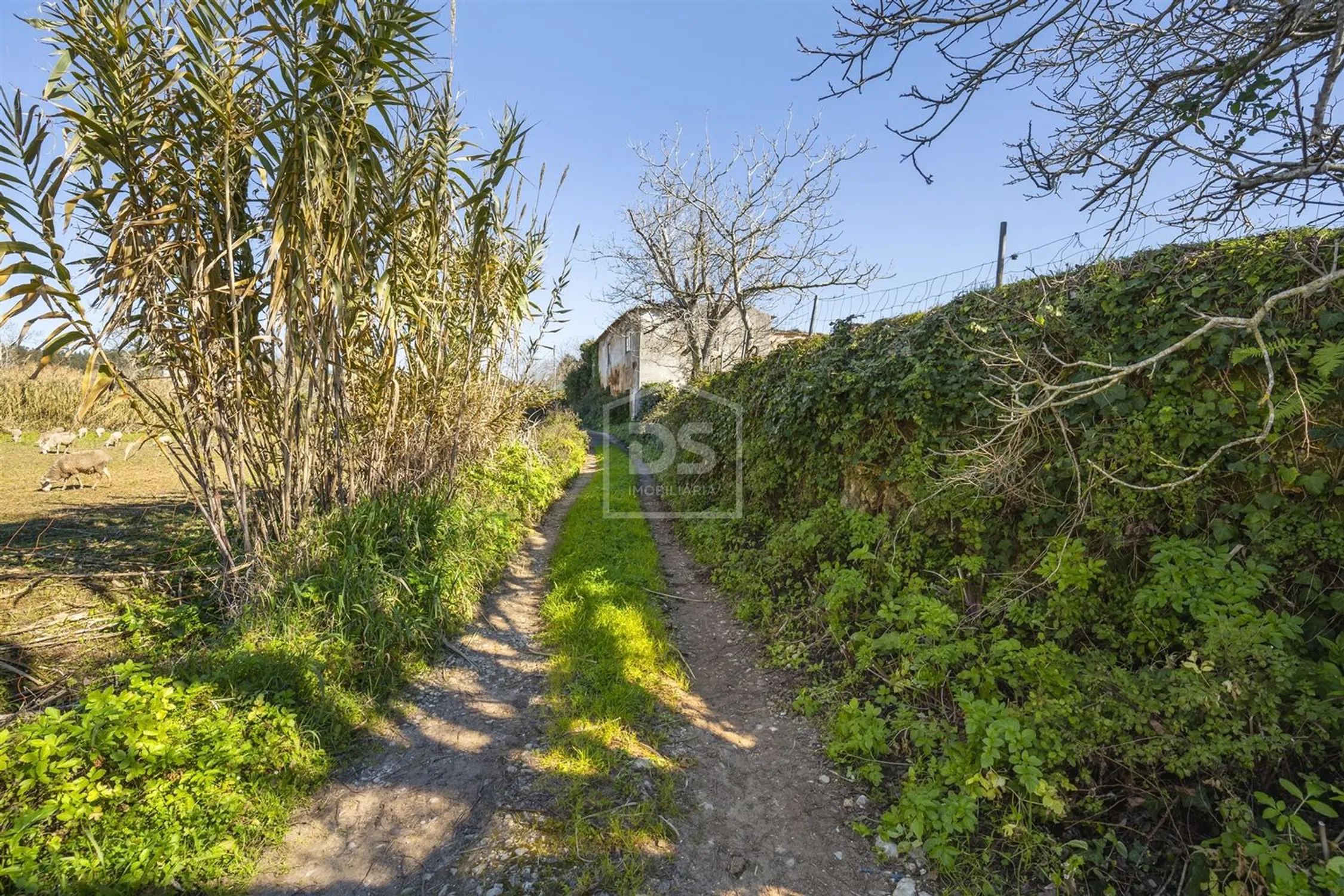Quinta - Photo 20