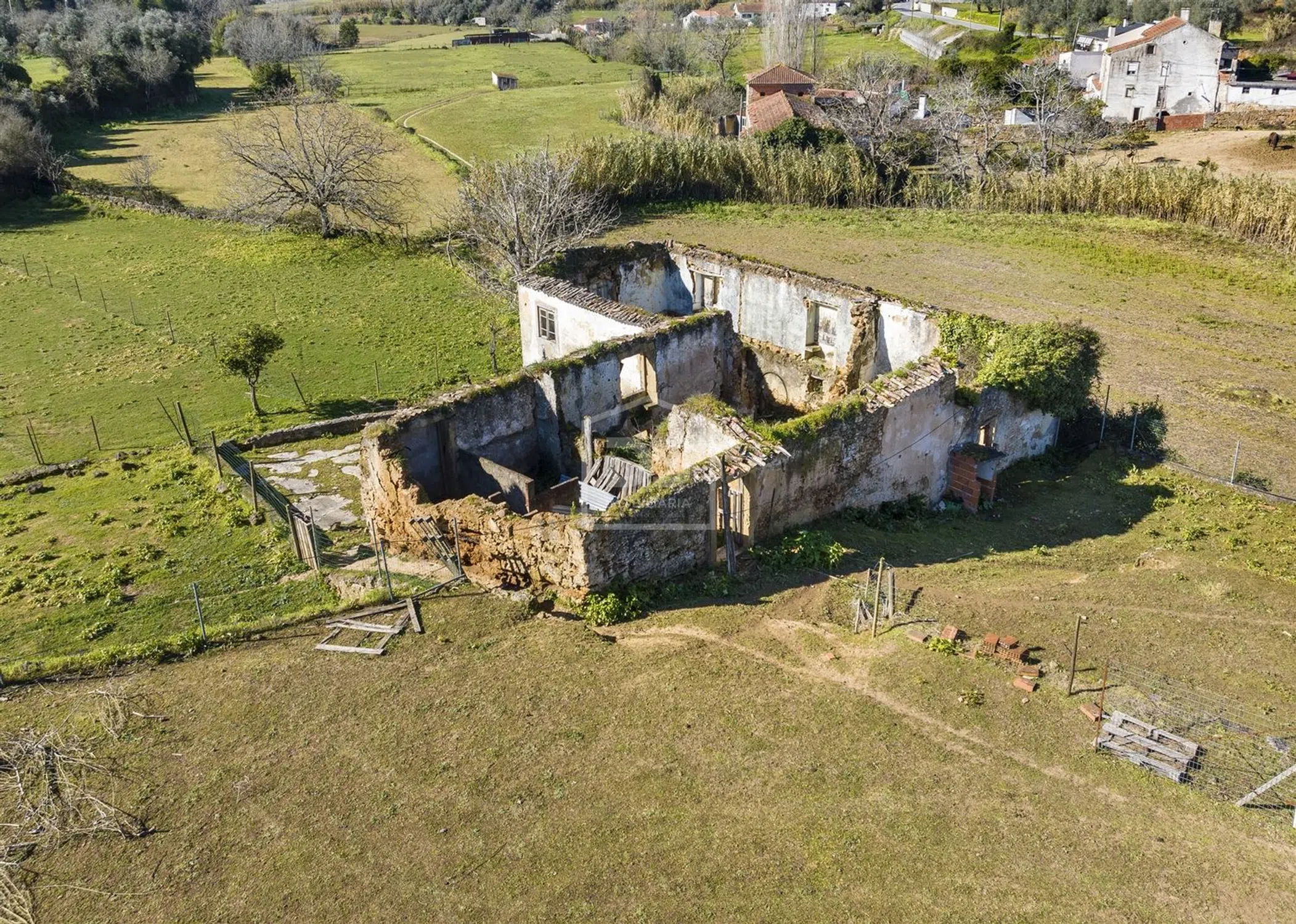 Quinta - Photo 8