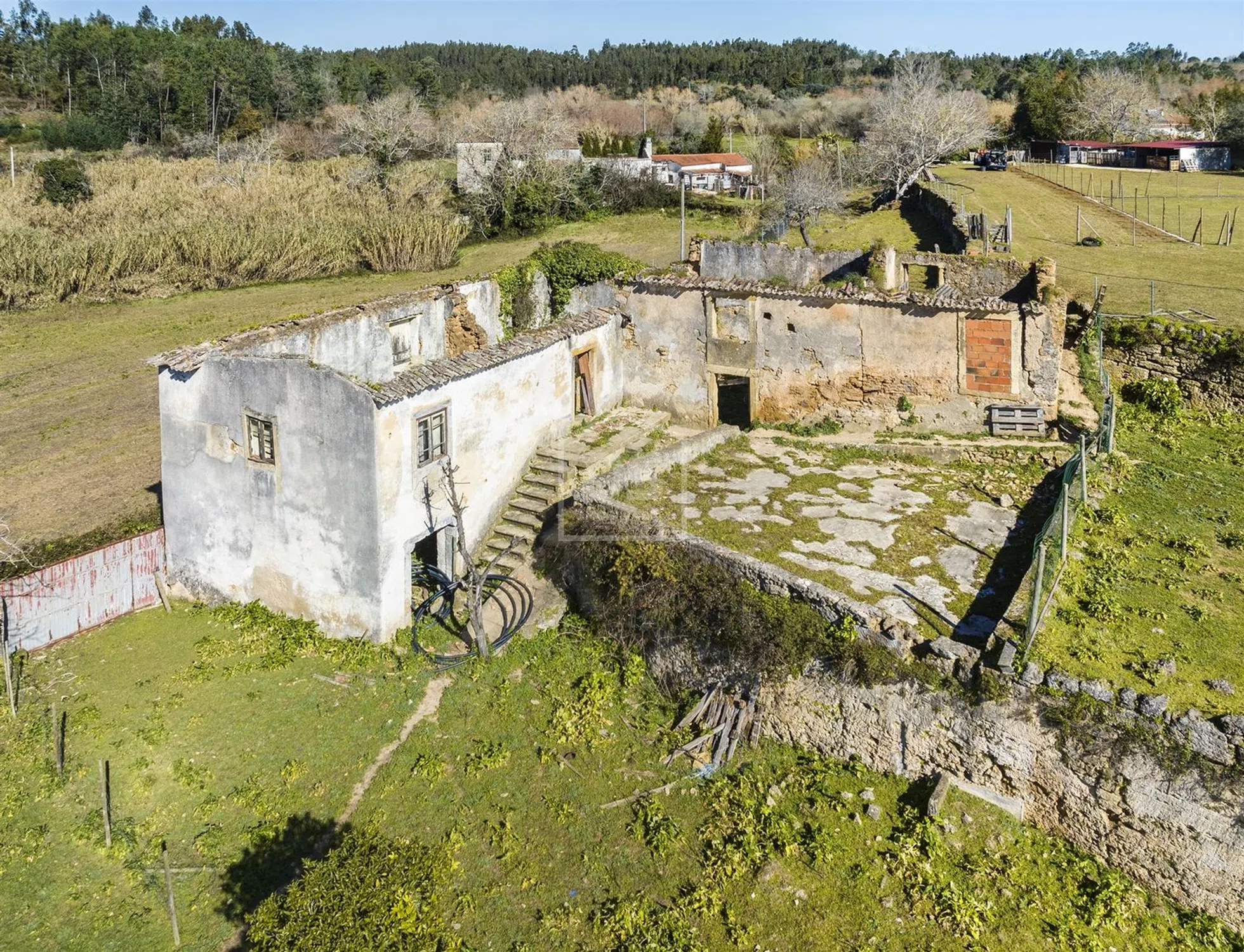 Quinta - Photo 10