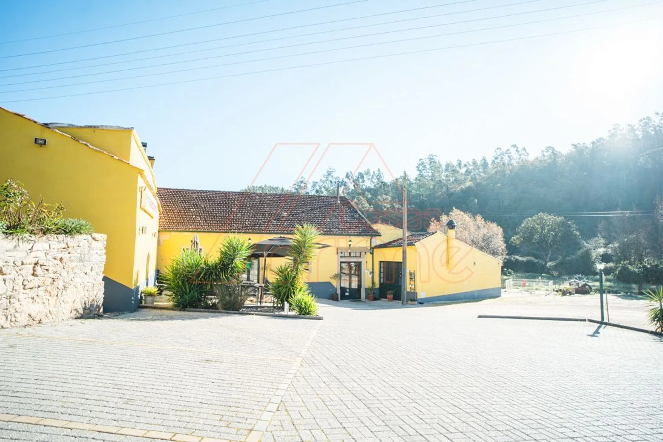 Quinta - Photo 2