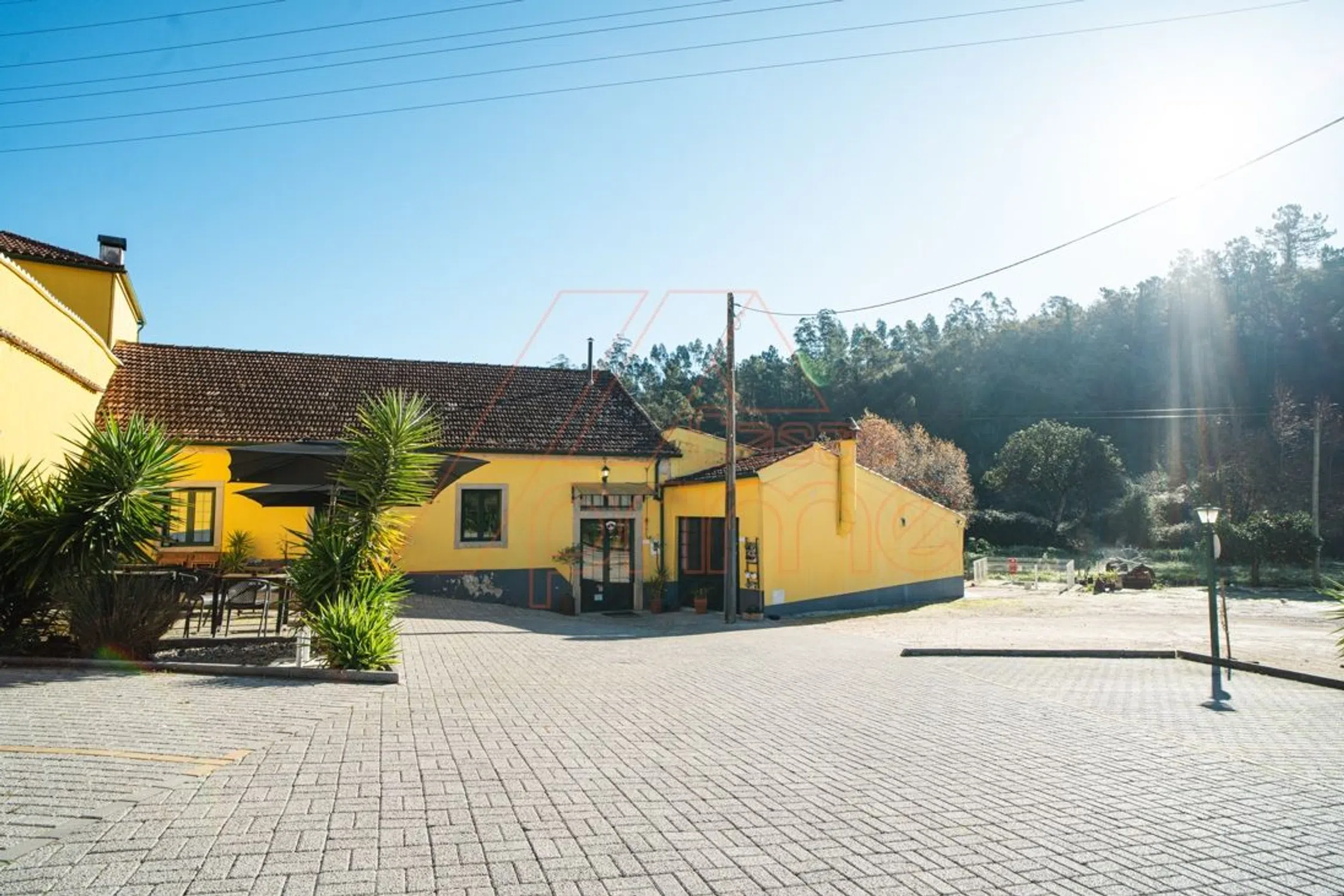 Quinta - Photo 4
