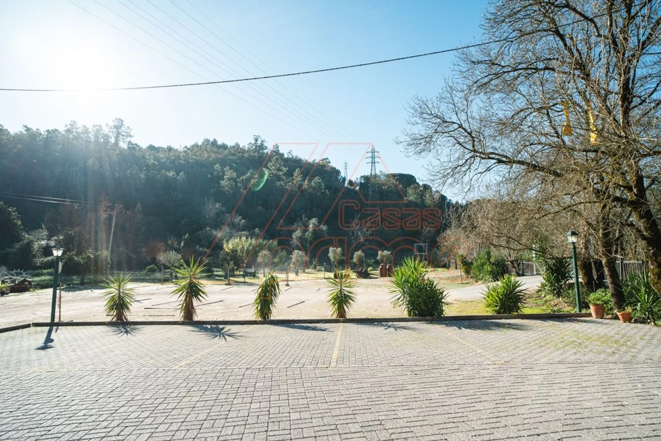 Quinta - Photo 5