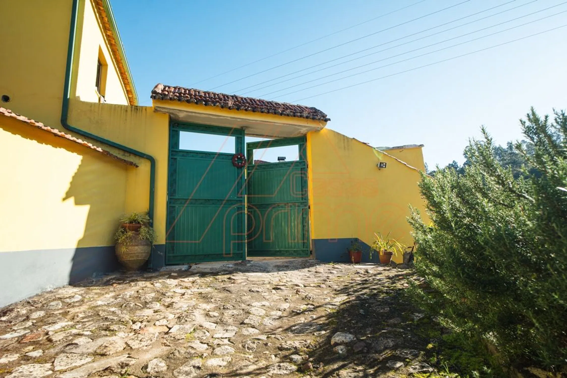 Quinta - Photo 6