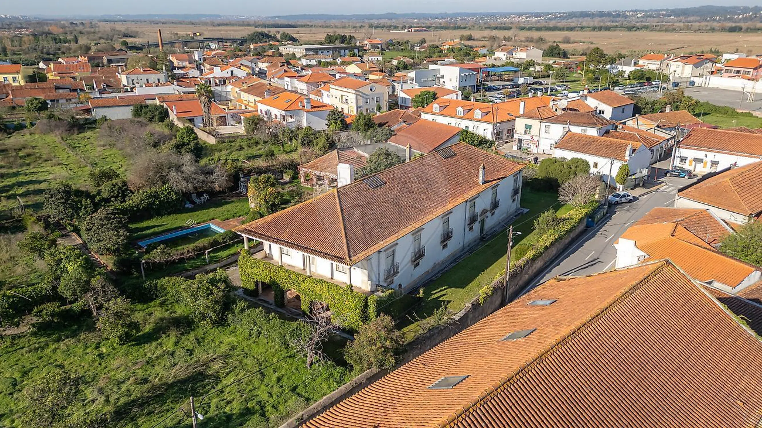 Quinta - Photo 2