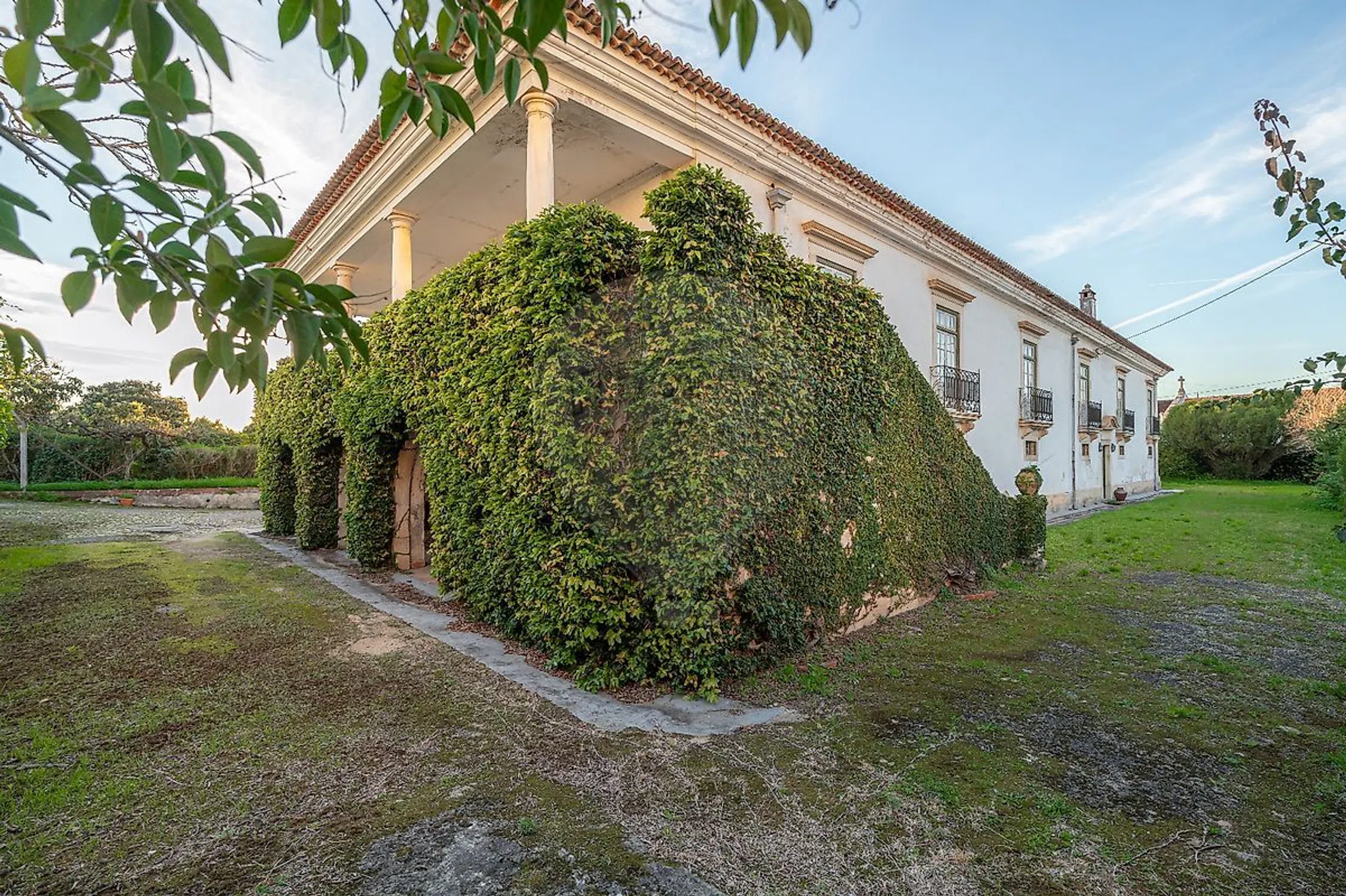 Quinta - Photo 14