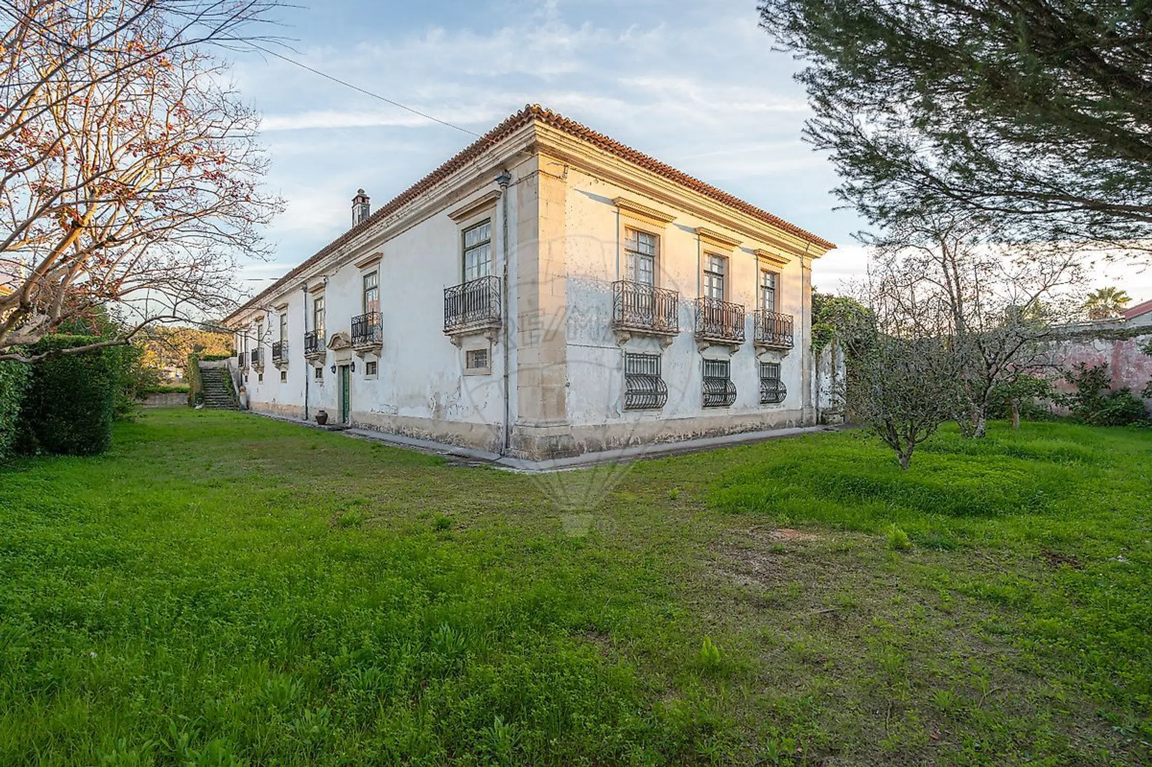 Quinta - Photo 16