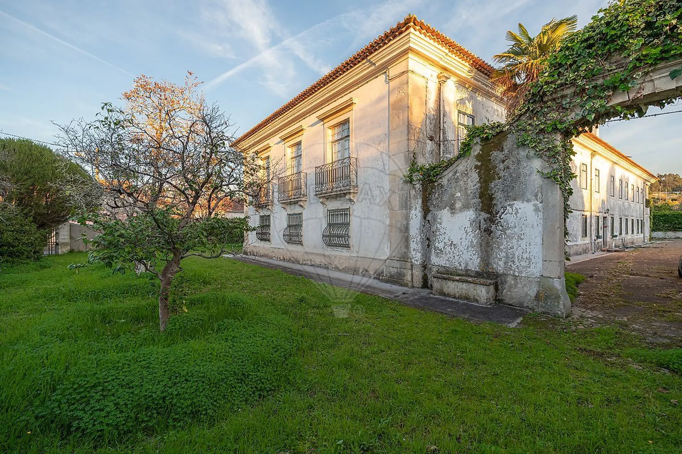 Quinta - Photo 17